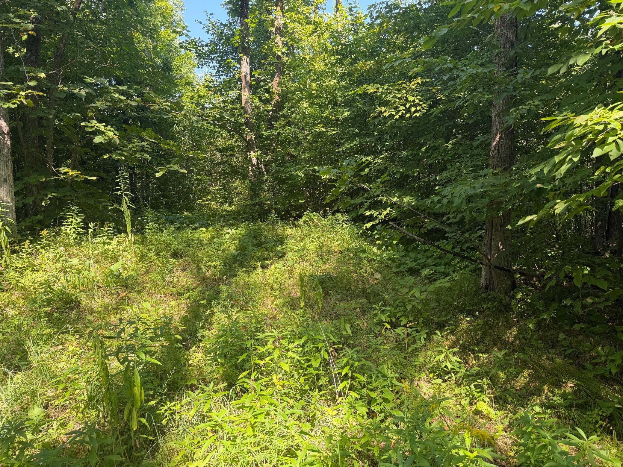 land for sale at TBD S Tulaby Lake LN in Waubun, MN (photo 8 of 15)