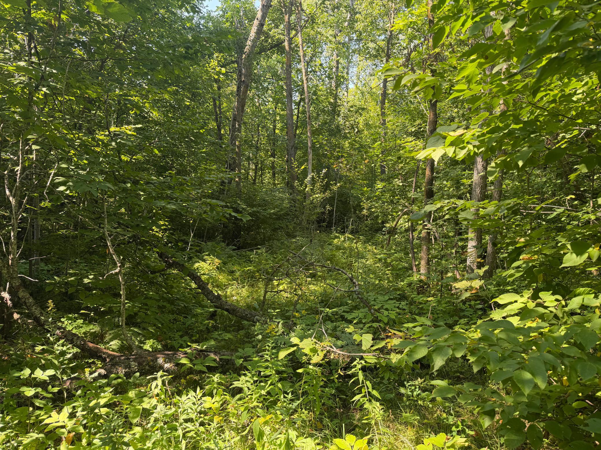 land for sale at TBD S Tulaby Lake LN in Waubun, MN (photo 9 of 15)