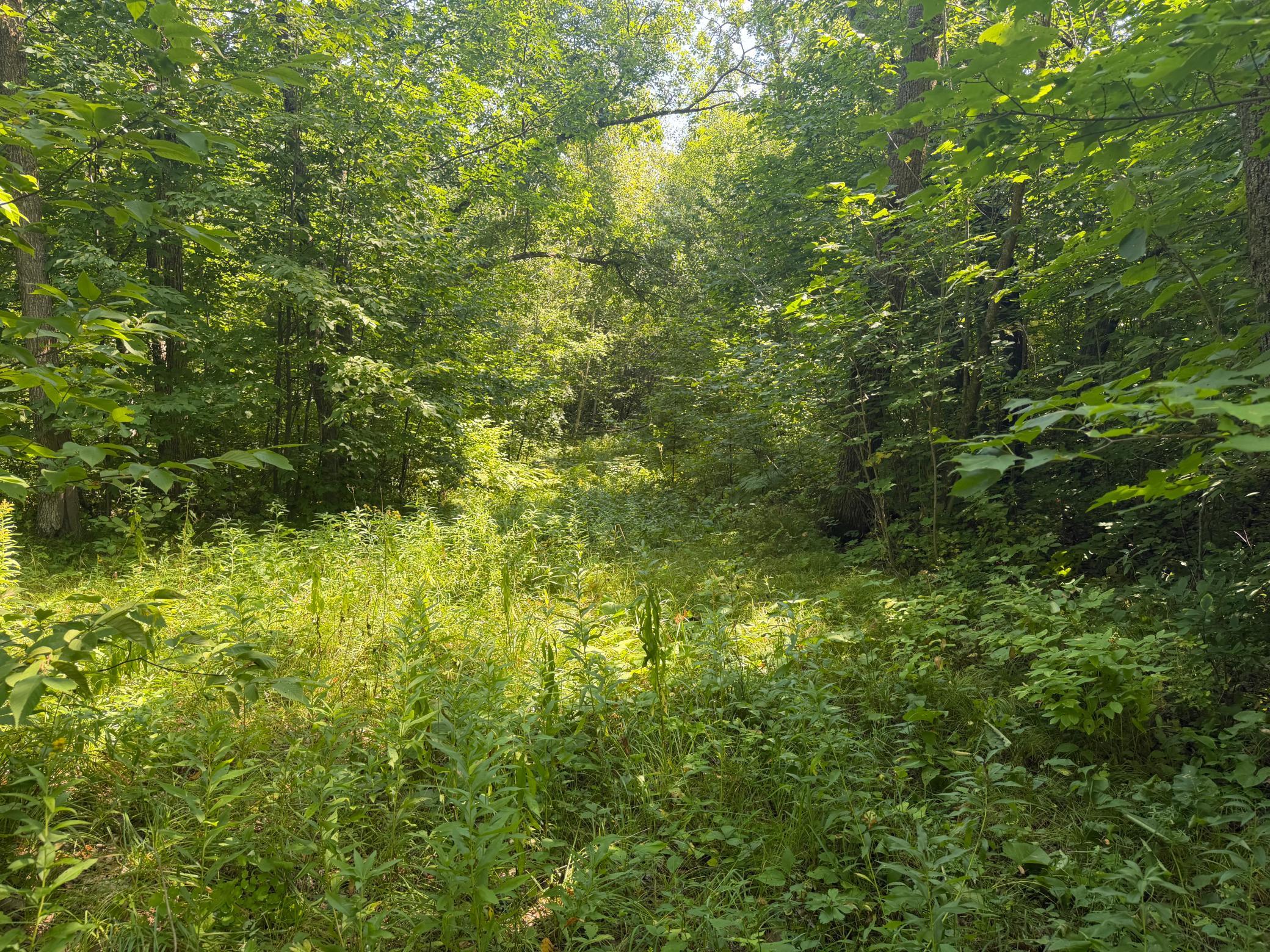 land for sale at TBD S Tulaby Lake LN in Waubun, MN (photo 10 of 15)