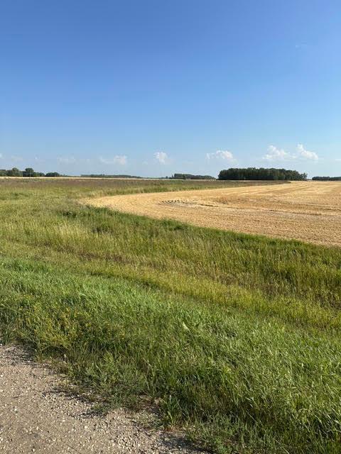 land for sale at TBD 140th St. NE in Thief River Falls, MN (photo 2 of 4)
