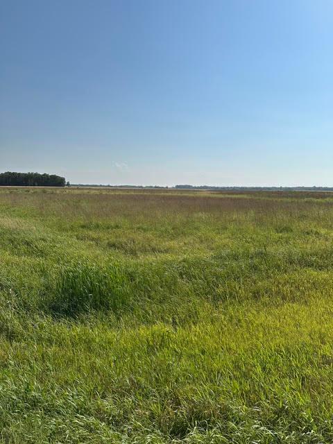 land for sale at TBD 140th St. NE in Thief River Falls, MN (photo 3 of 4)