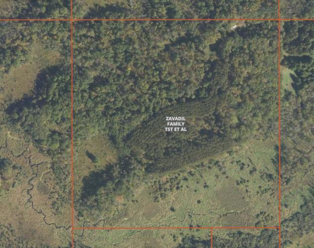 land for sale at TBD 530th Avenue in Deer Creek, MN