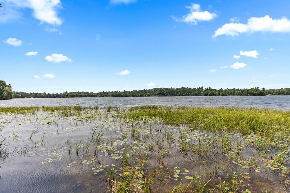 1950 single family home for sale at 41555 E Eagle Lake Road in Fifty Lakes, MN — 1 bed, 0 bath (photo 6 of 32)