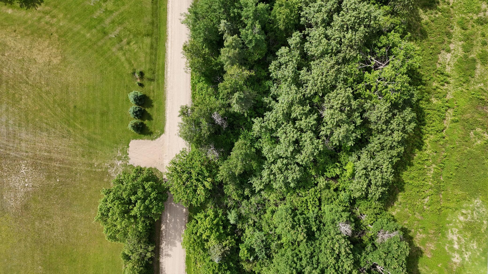 land for sale at LOT 1 Parameter Road in Deer River, MN (photo 11 of 11)