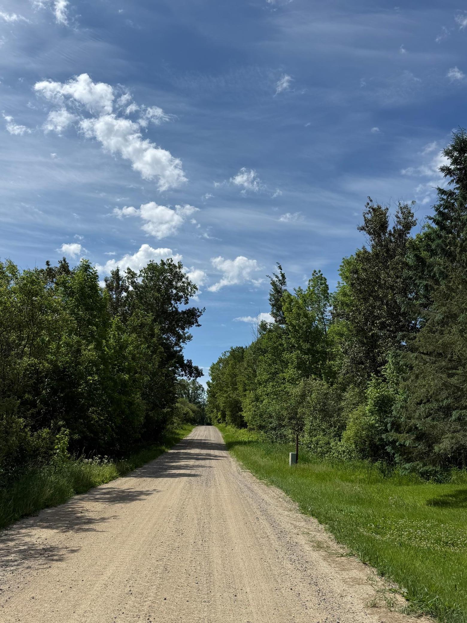 land for sale at LOT 1 Parameter Road in Deer River, MN (photo 5 of 11)