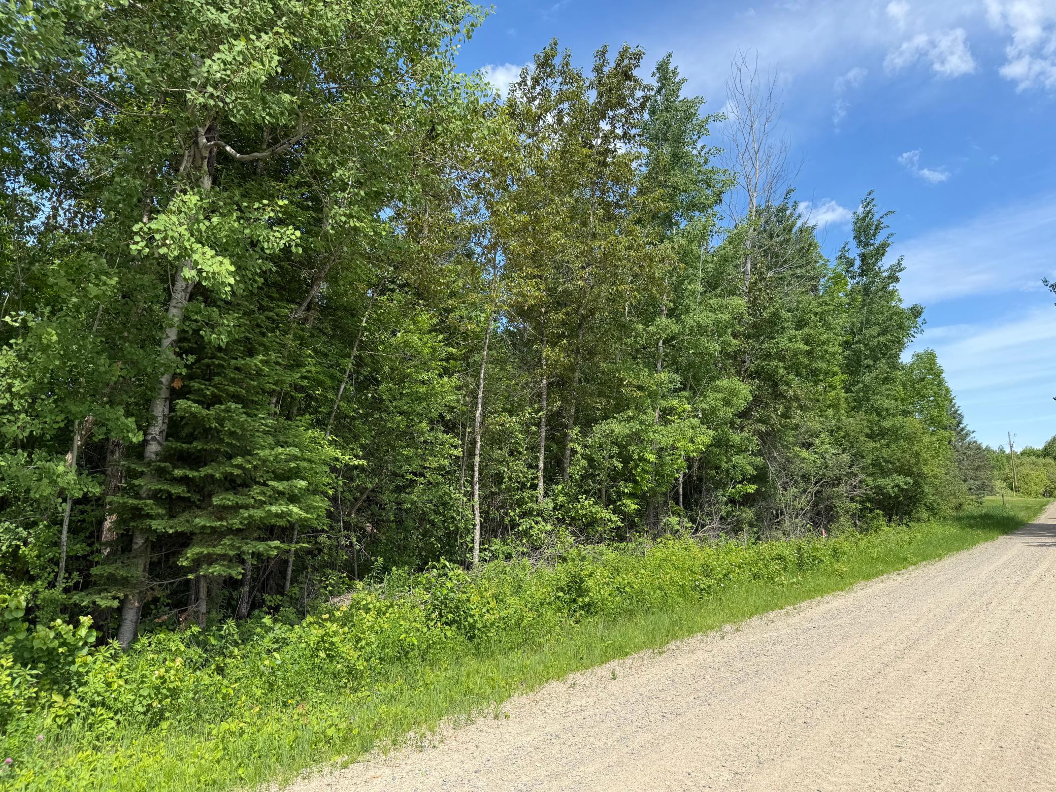 land for sale at LOT 1 Parameter Road in Deer River, MN (photo 7 of 11)