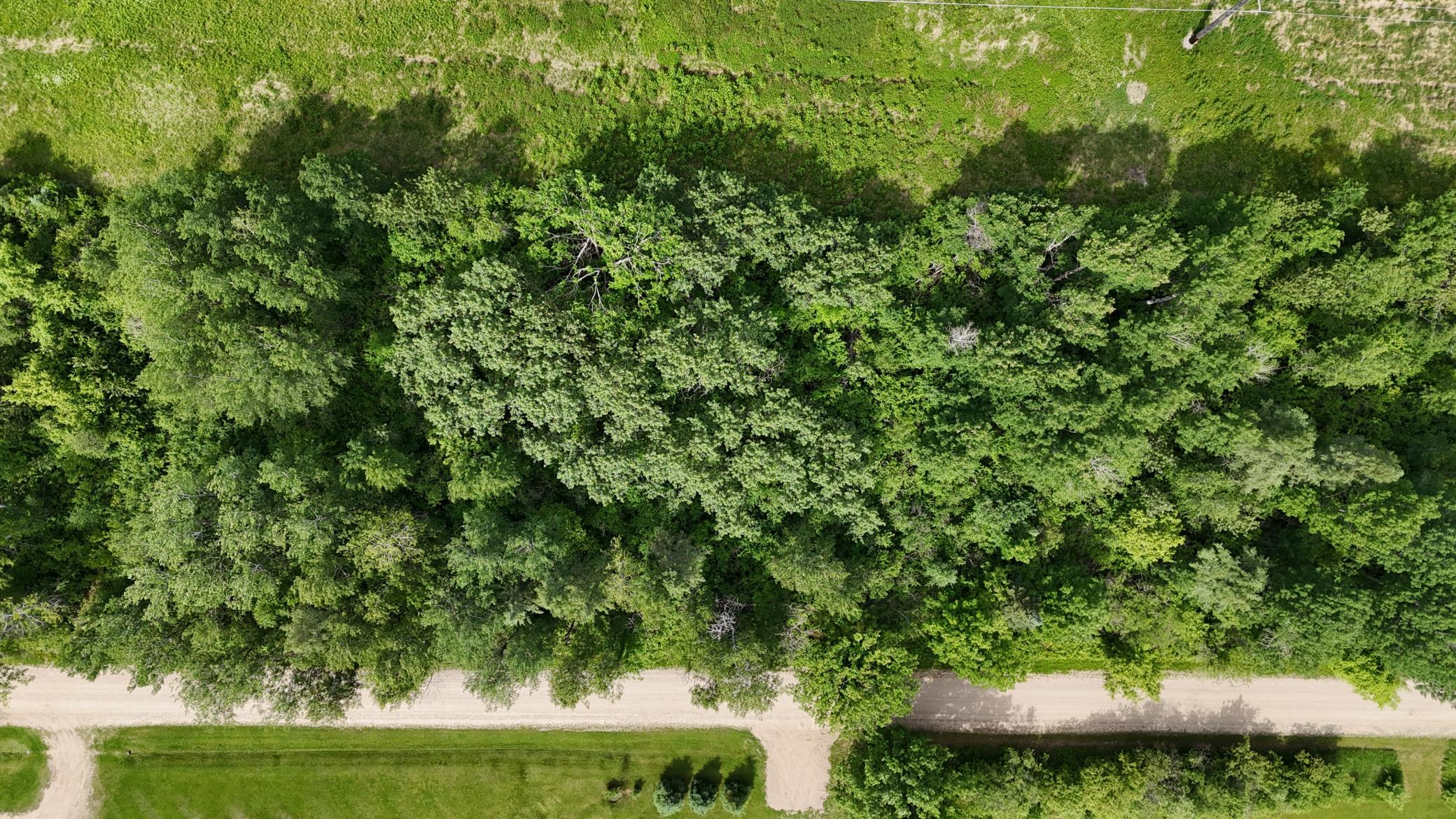 land for sale at LOT 1 Parameter Road in Deer River, MN (photo 8 of 11)