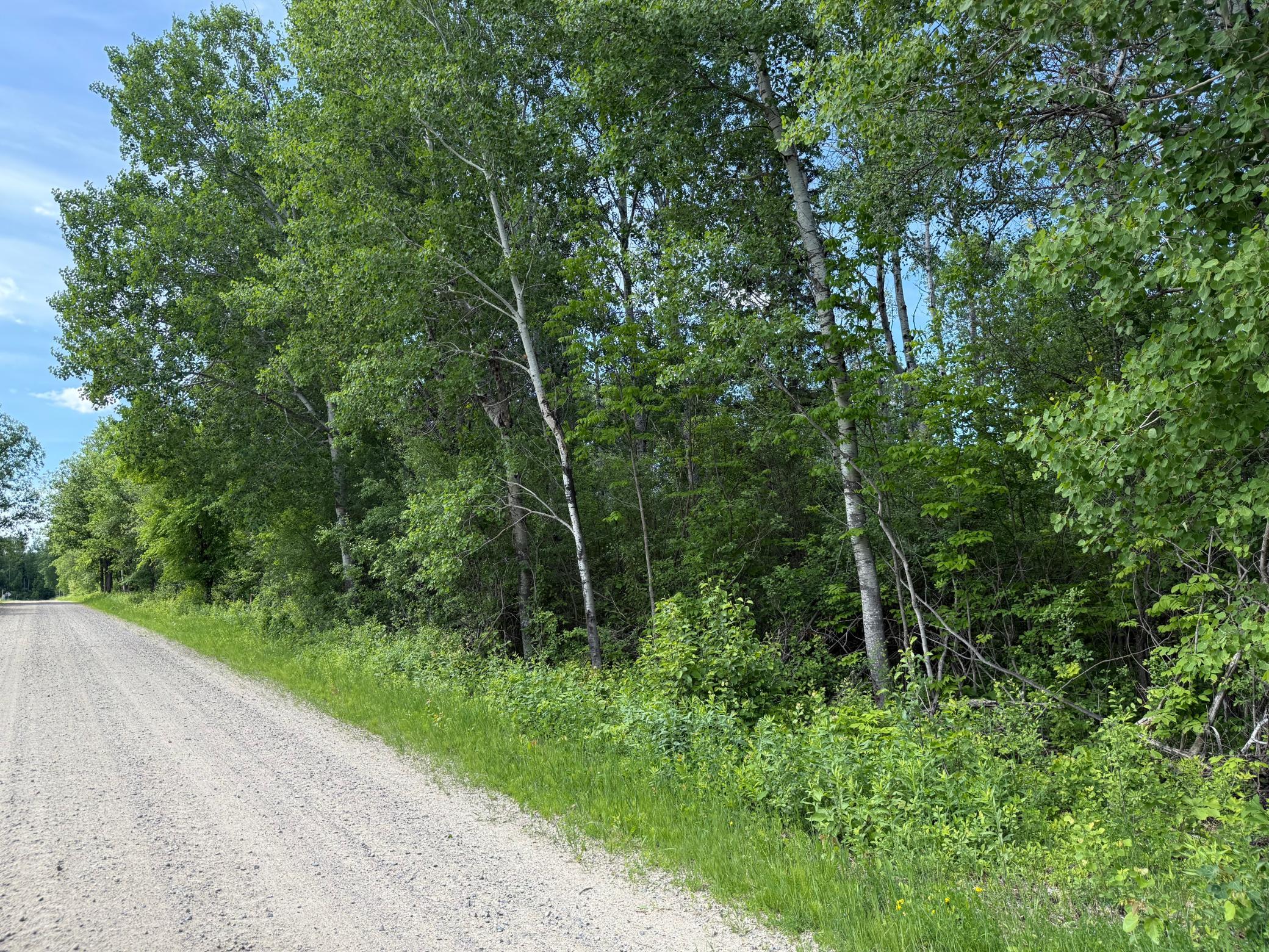 land for sale at LOT 1 Parameter Road in Deer River, MN (photo 9 of 11)