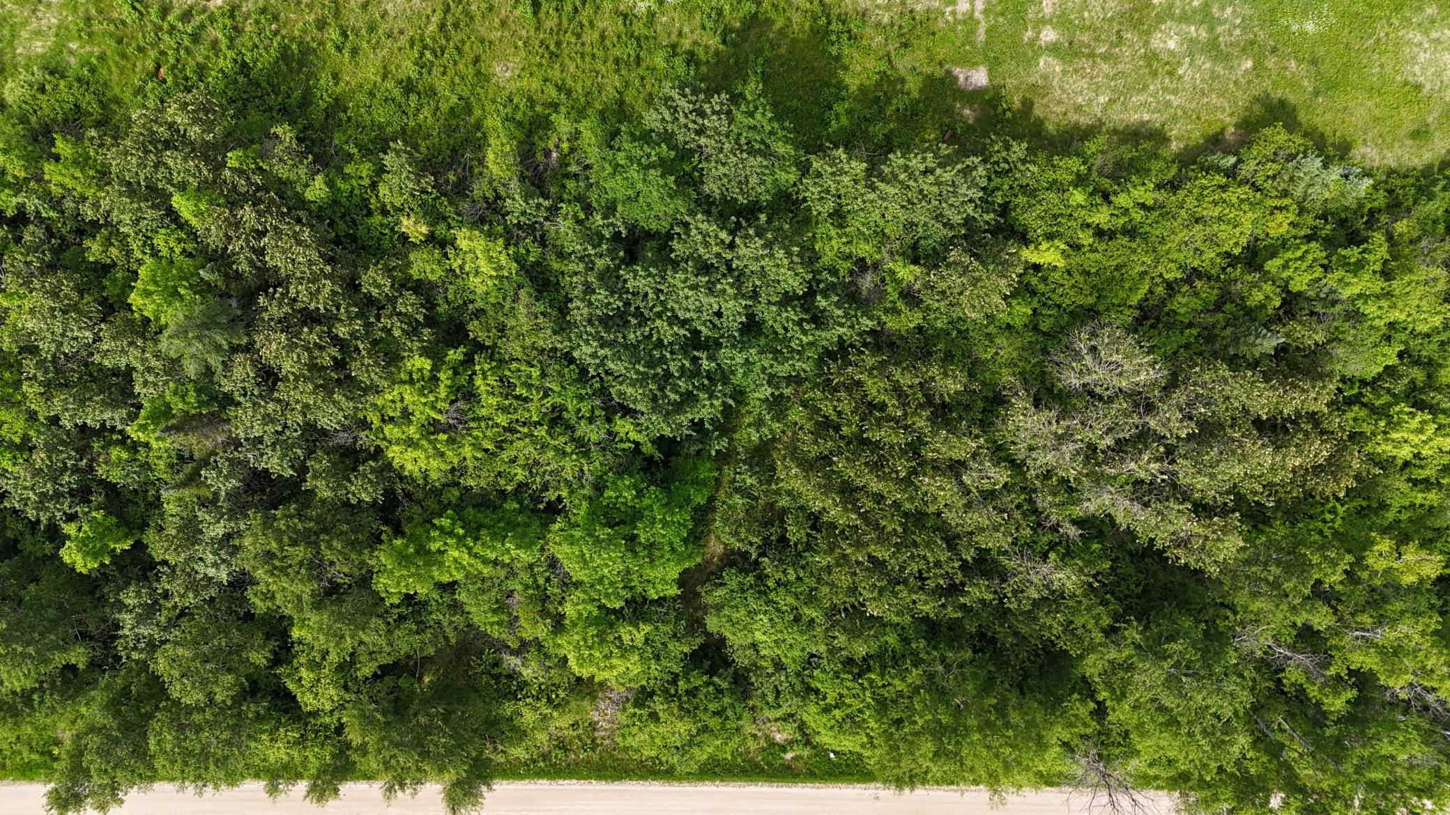 land for sale at LOT 1 Parameter Road in Deer River, MN (photo 10 of 11)