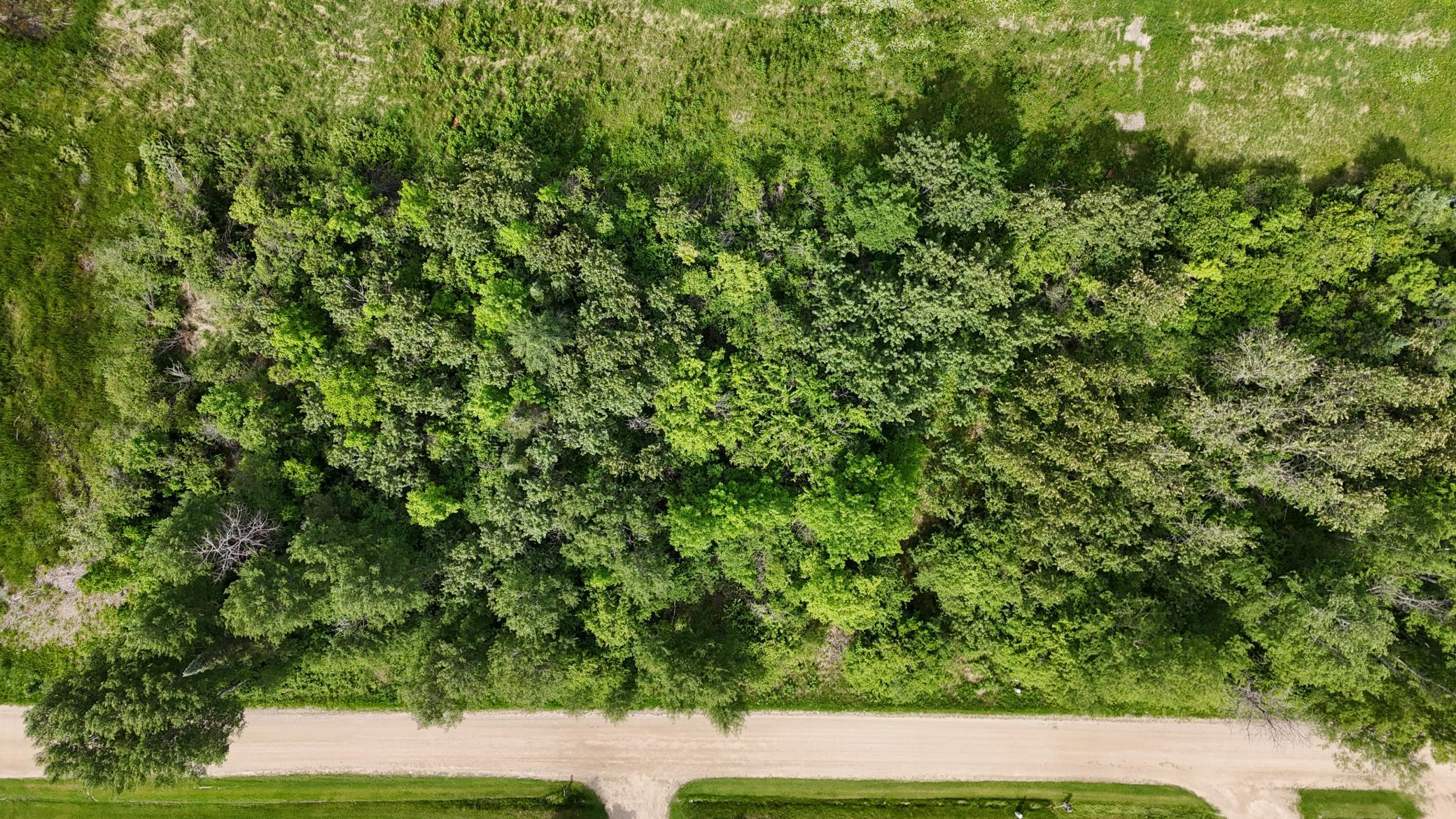 land for sale at LOT 2 Parameter Road in Deer River, MN (photo 5 of 9)