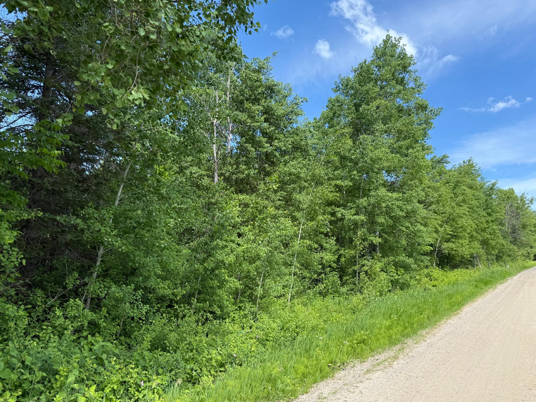 land for sale at LOT 2 Parameter Road in Deer River, MN (photo 6 of 9)
