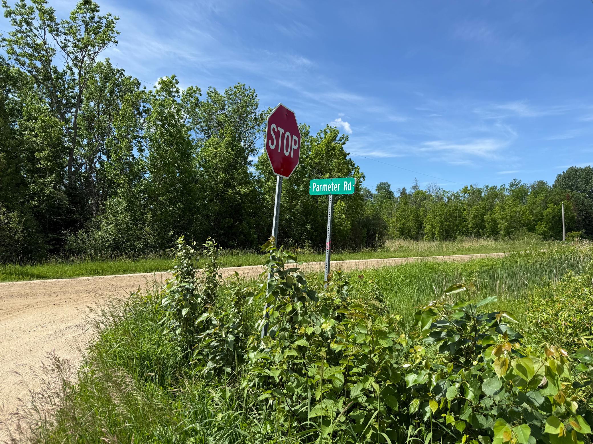 land for sale at LOT 3 Parameter Road in Deer River, MN (photo 11 of 11)