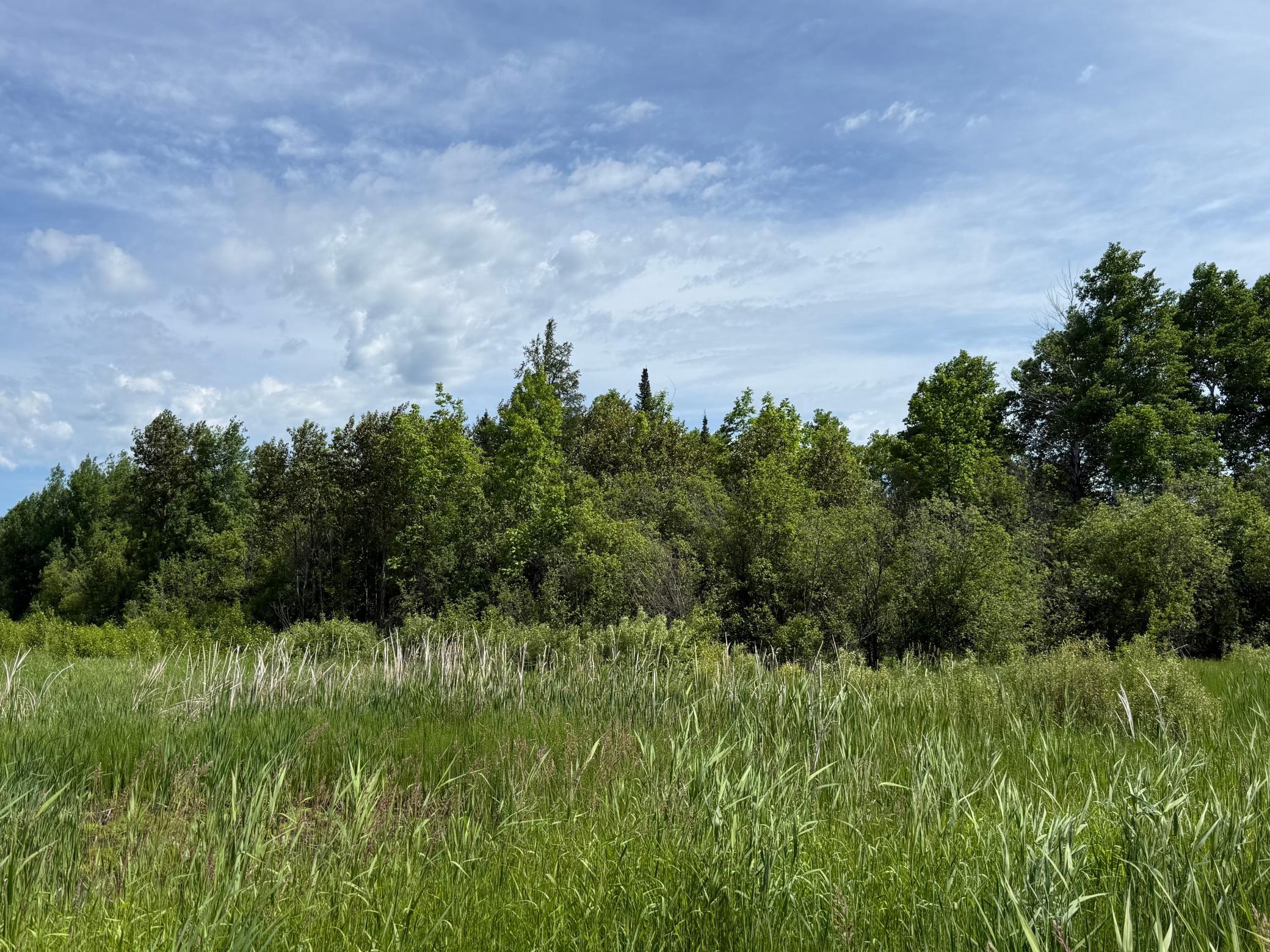 land for sale at LOT 3 Parameter Road in Deer River, MN (photo 7 of 11)