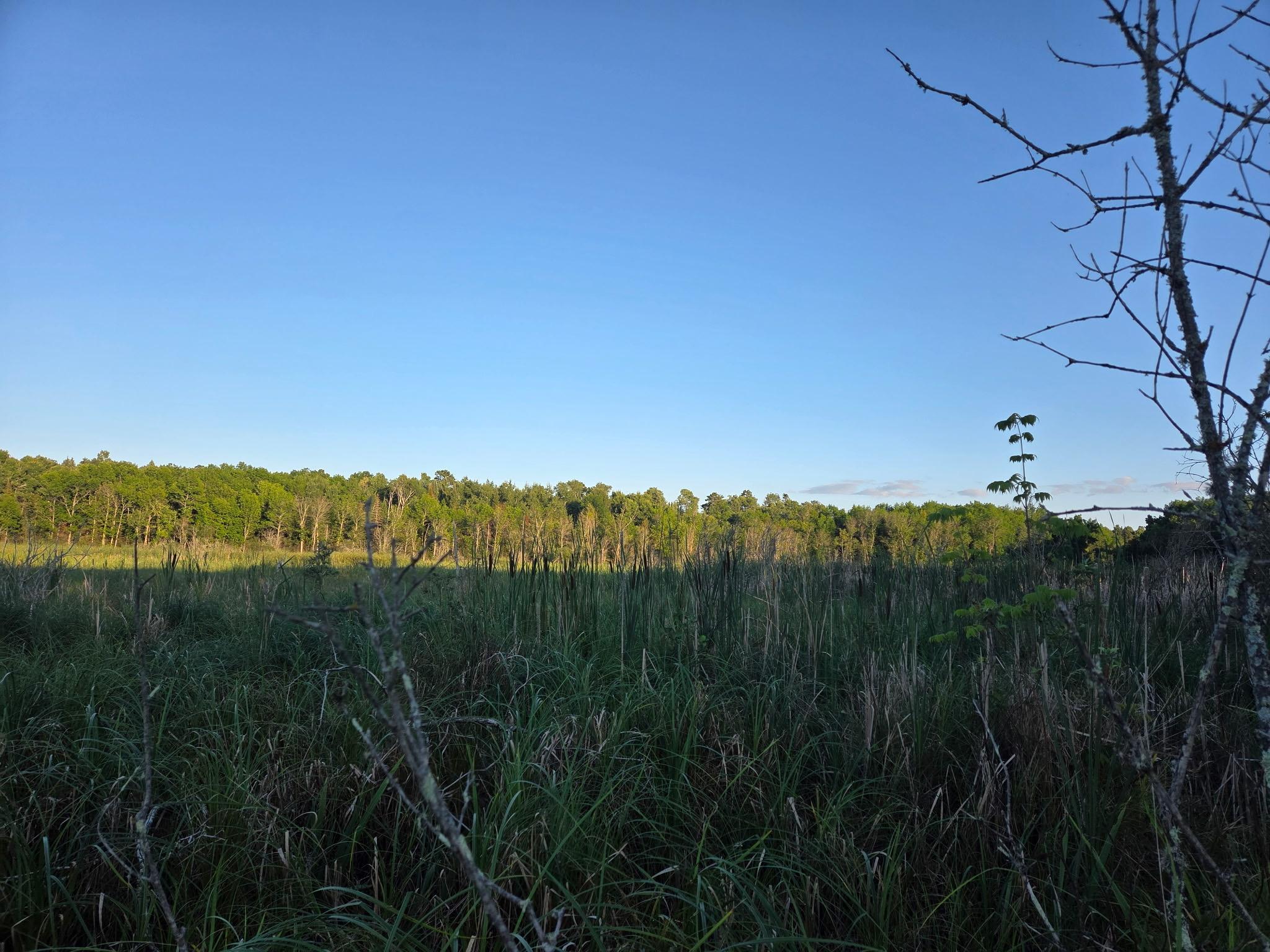 land for sale at TBD lot 3 190th Street in Bagley, MN (photo 2 of 19)