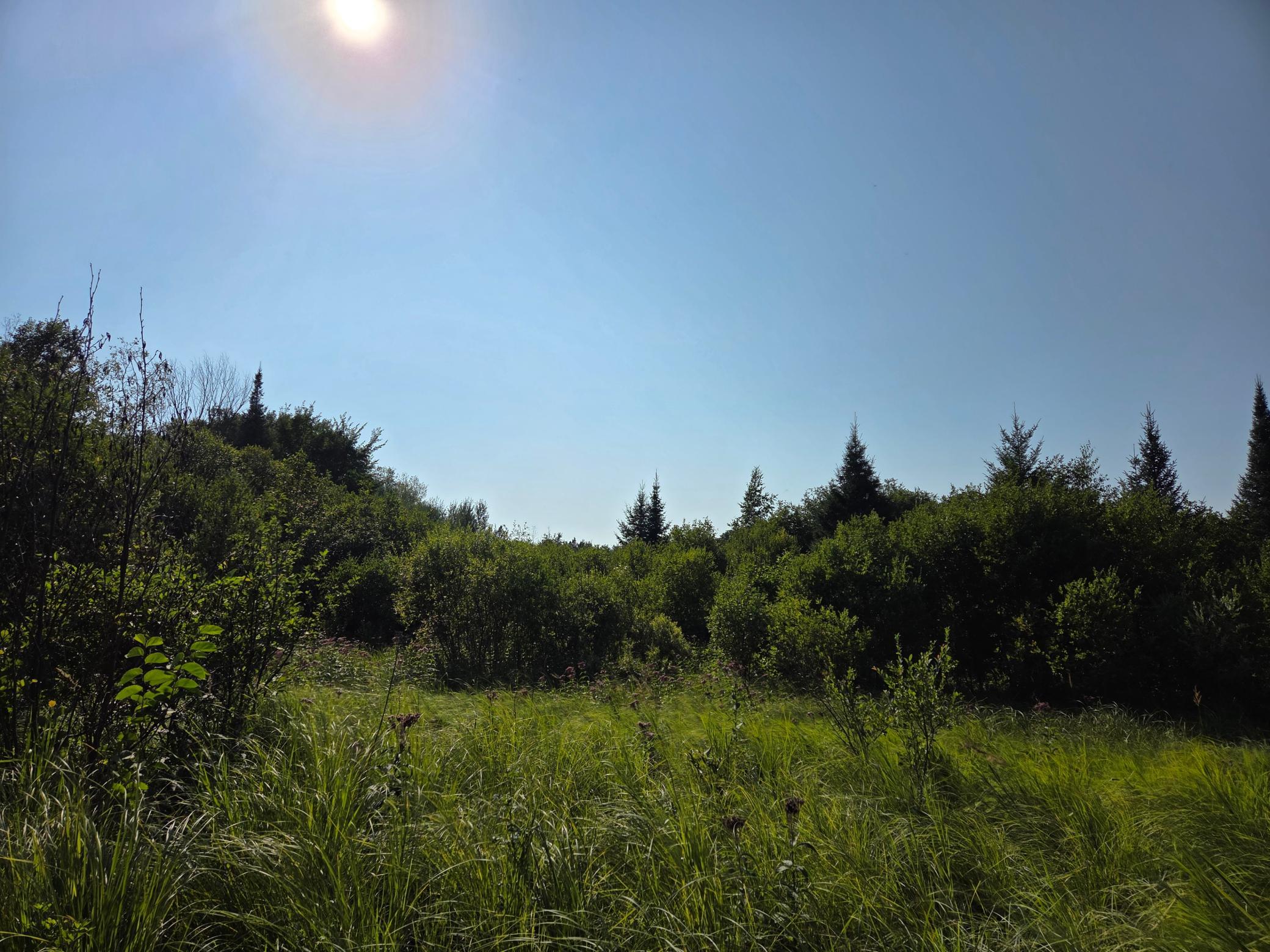 land for sale at TBD lot 3 190th Street in Bagley, MN (photo 11 of 19)