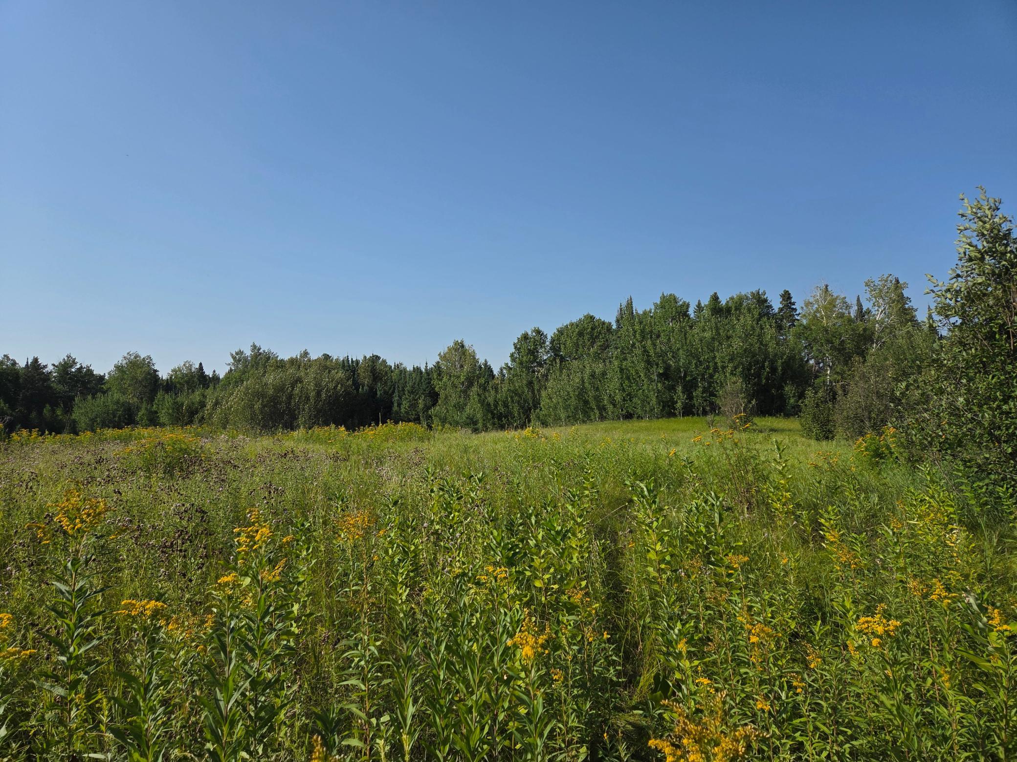 land for sale at TBD lot 3 190th Street in Bagley, MN (photo 13 of 19)