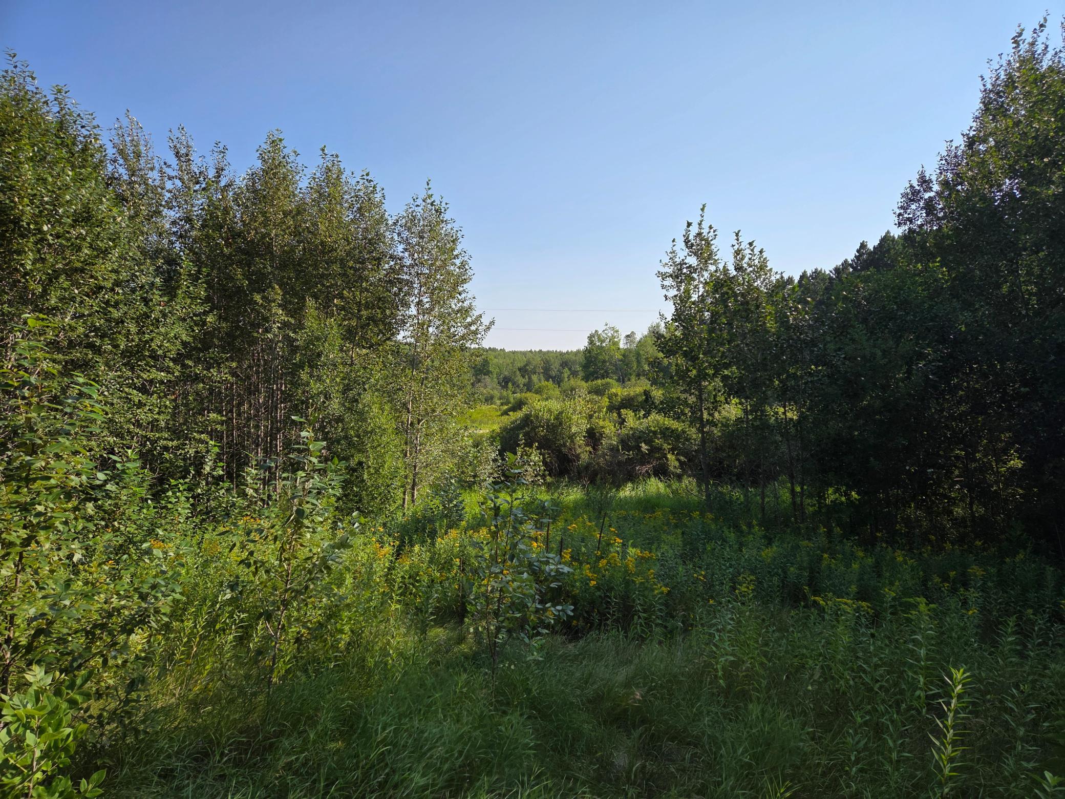 land for sale at TBD lot 3 190th Street in Bagley, MN (photo 16 of 19)