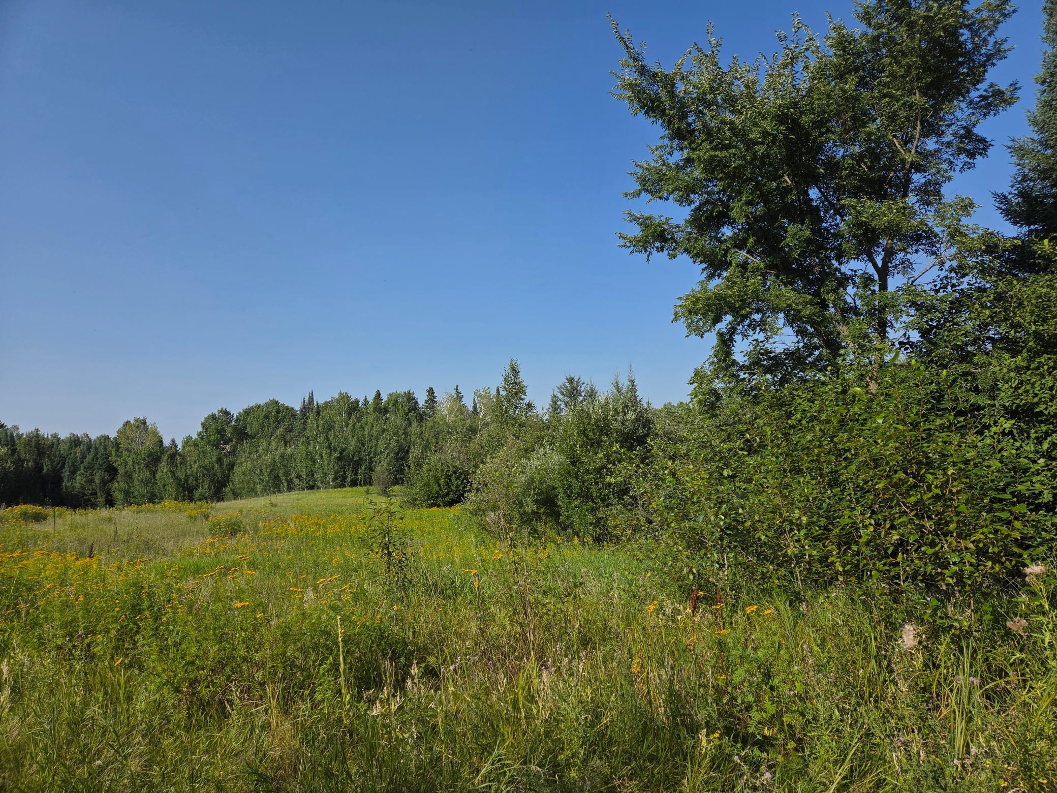 land for sale at TBD lot 3 190th Street in Bagley, MN (photo 17 of 19)