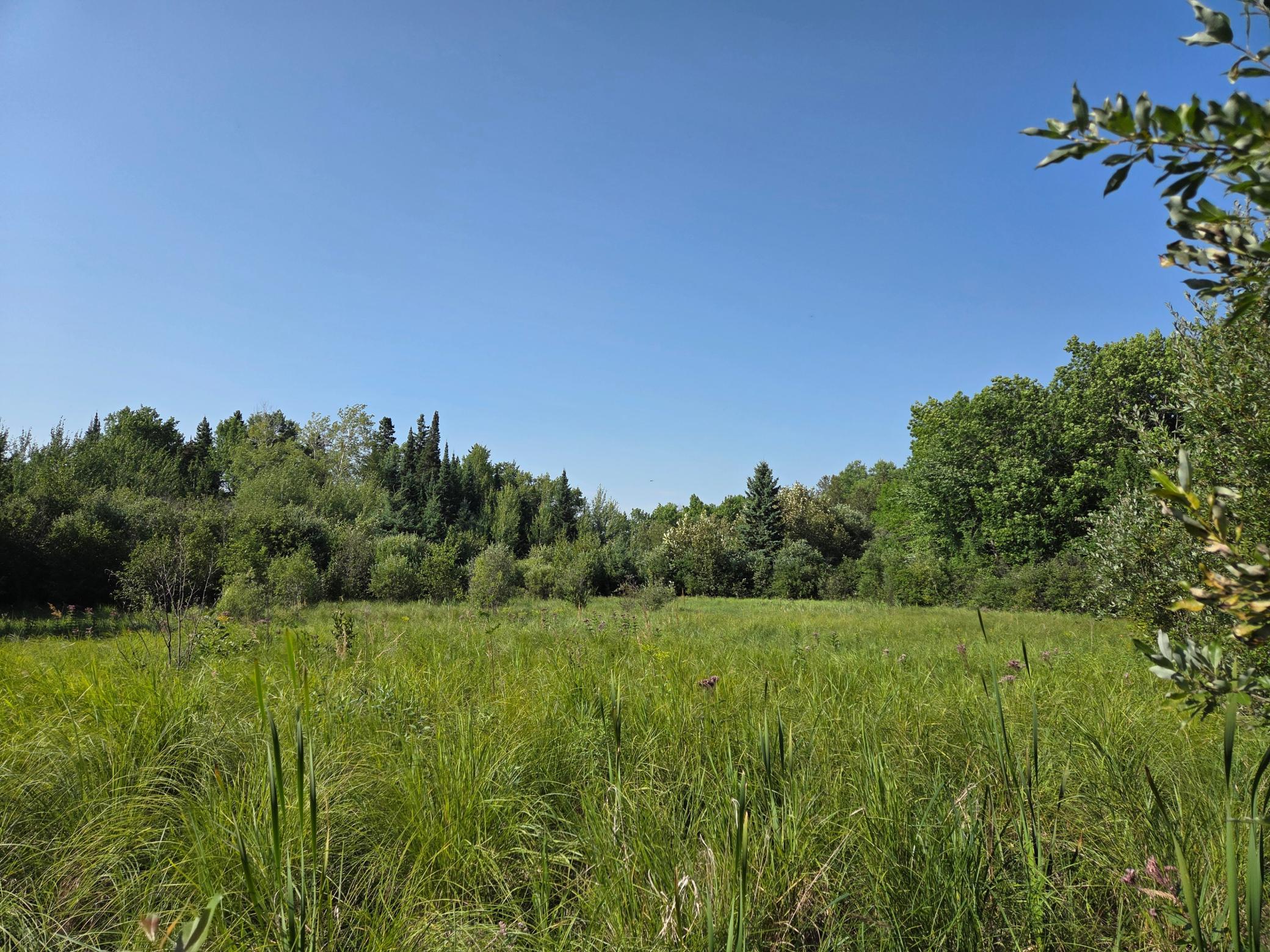land for sale at TBD lot 3 190th Street in Bagley, MN (photo 18 of 19)