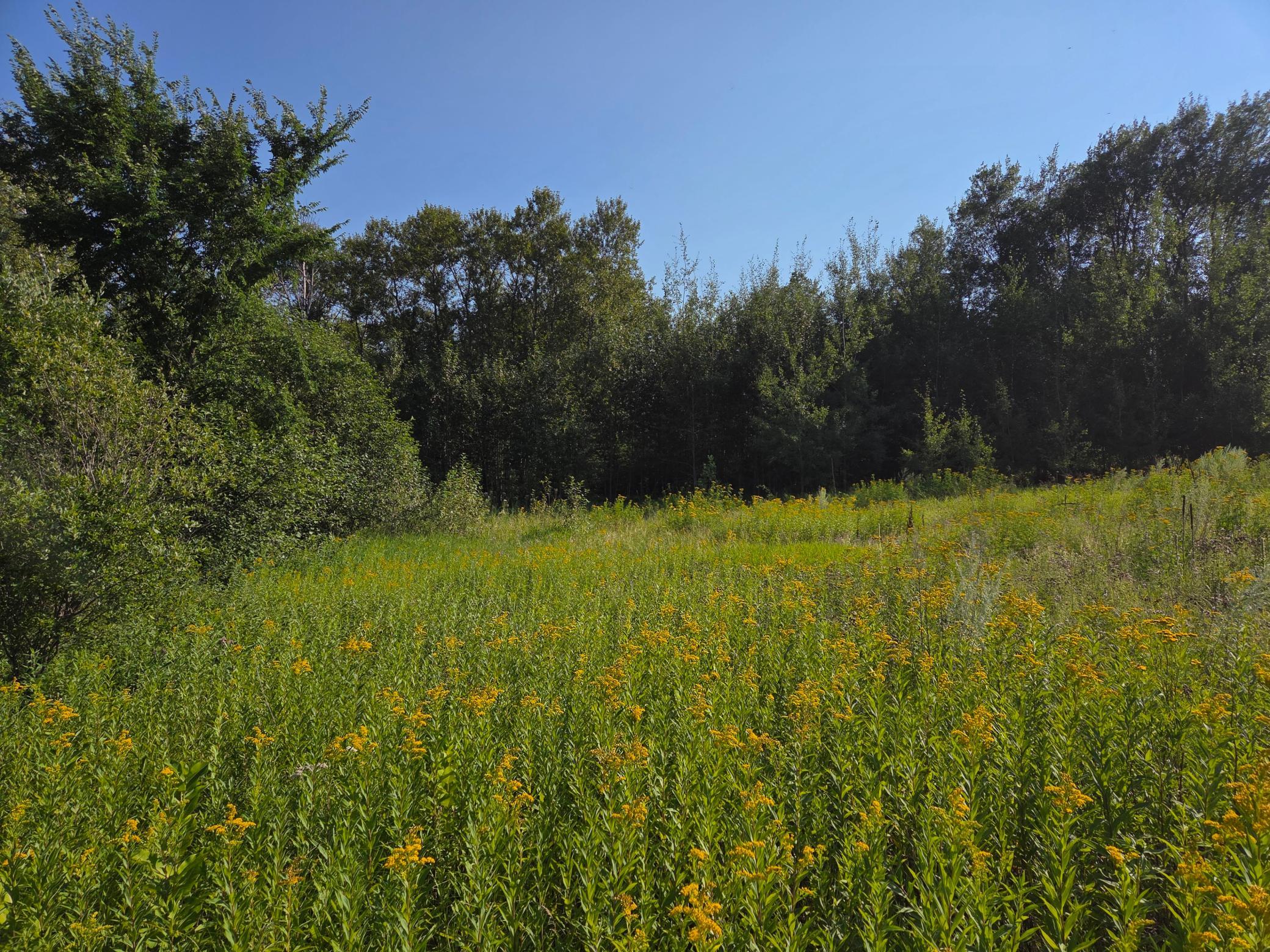 land for sale at TBD lot 3 190th Street in Bagley, MN (photo 19 of 19)