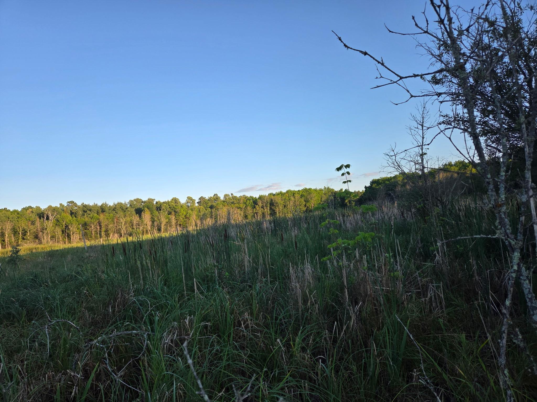 land for sale at TBD lot 3 190th Street in Bagley, MN (photo 3 of 19)