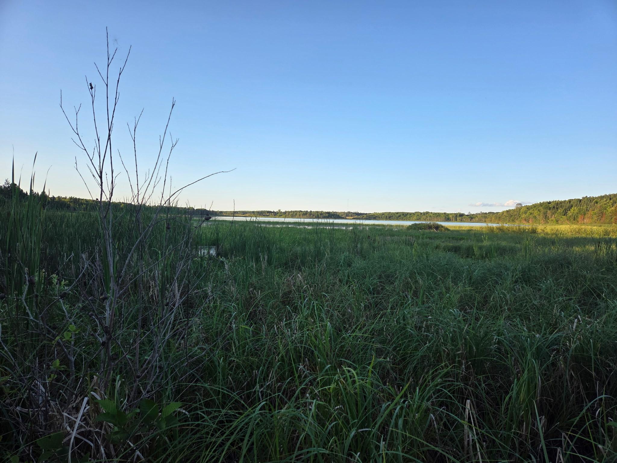 land for sale at TBD lot 3 190th Street in Bagley, MN (photo 4 of 19)