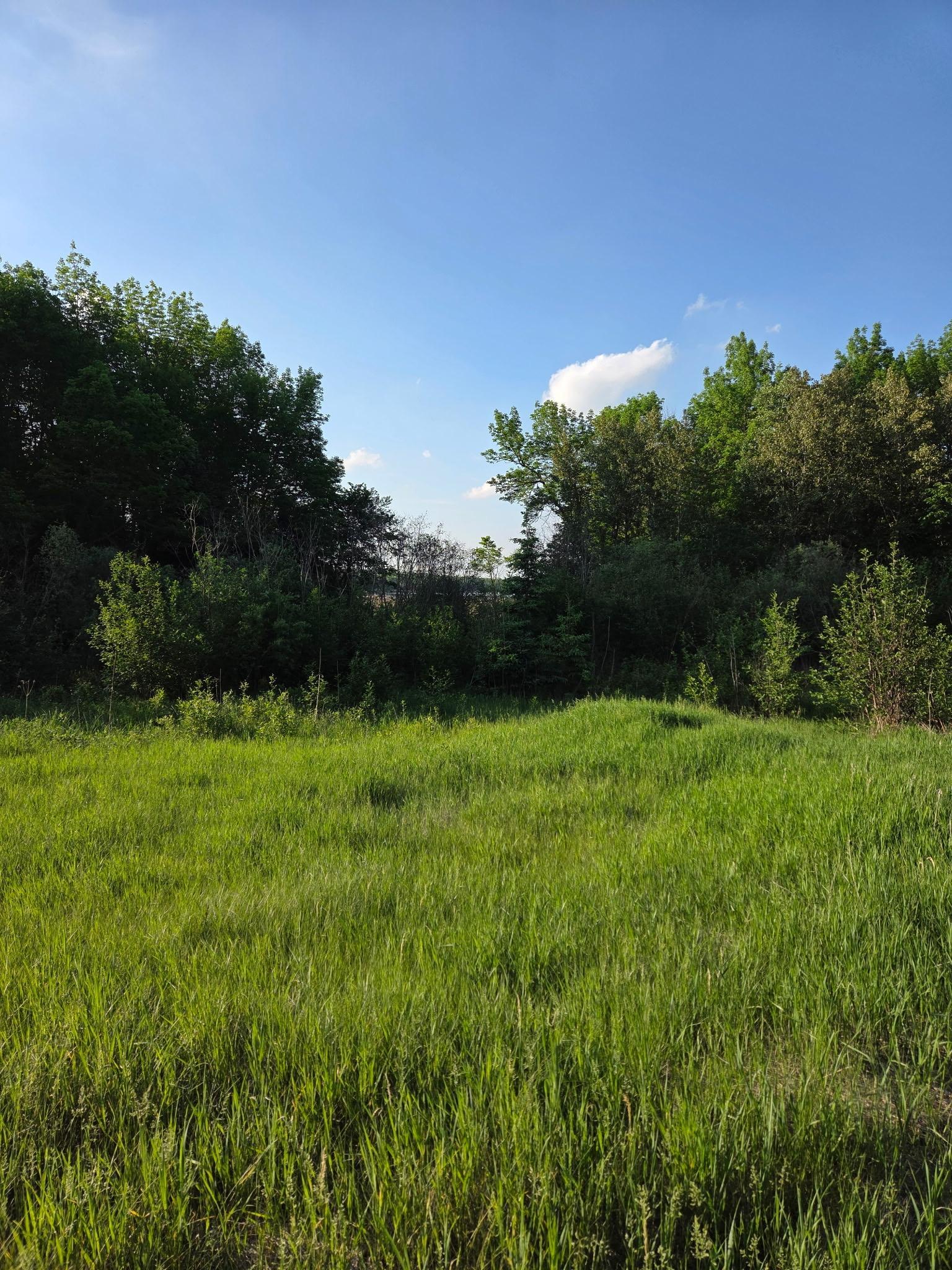 land for sale at TBD lot 3 190th Street in Bagley, MN (photo 7 of 19)