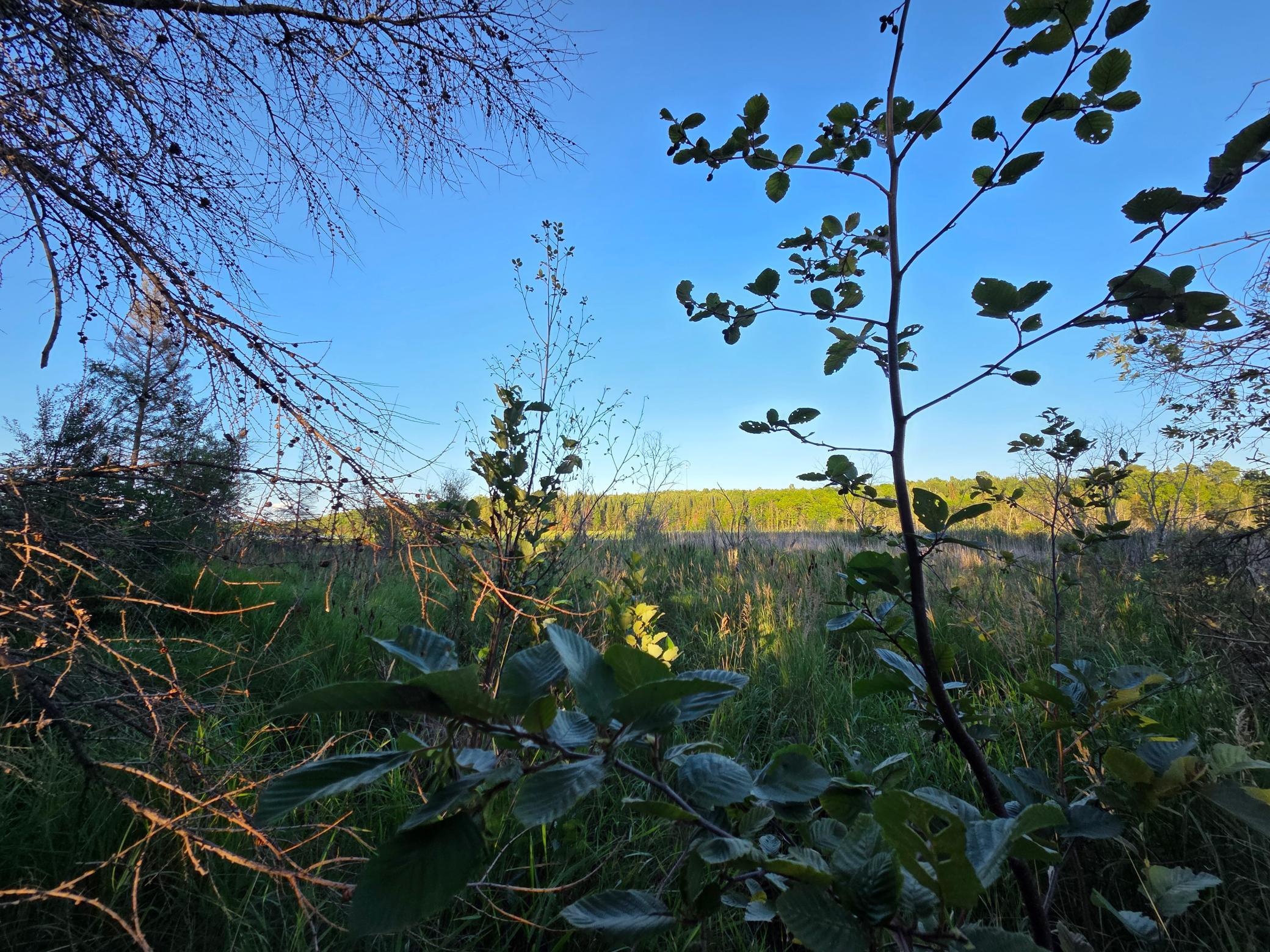 land for sale at TBD lot 3 190th Street in Bagley, MN (photo 10 of 19)