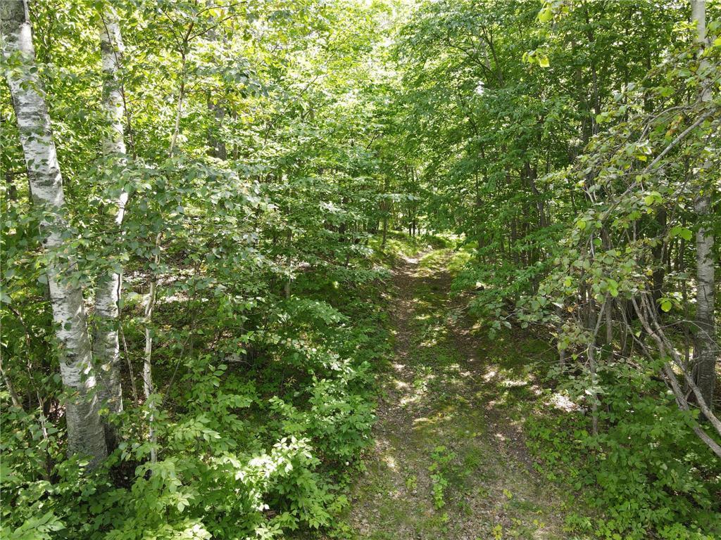 land for sale at TBD IDAS ROAD in Osage, MN (photo 16 of 22)