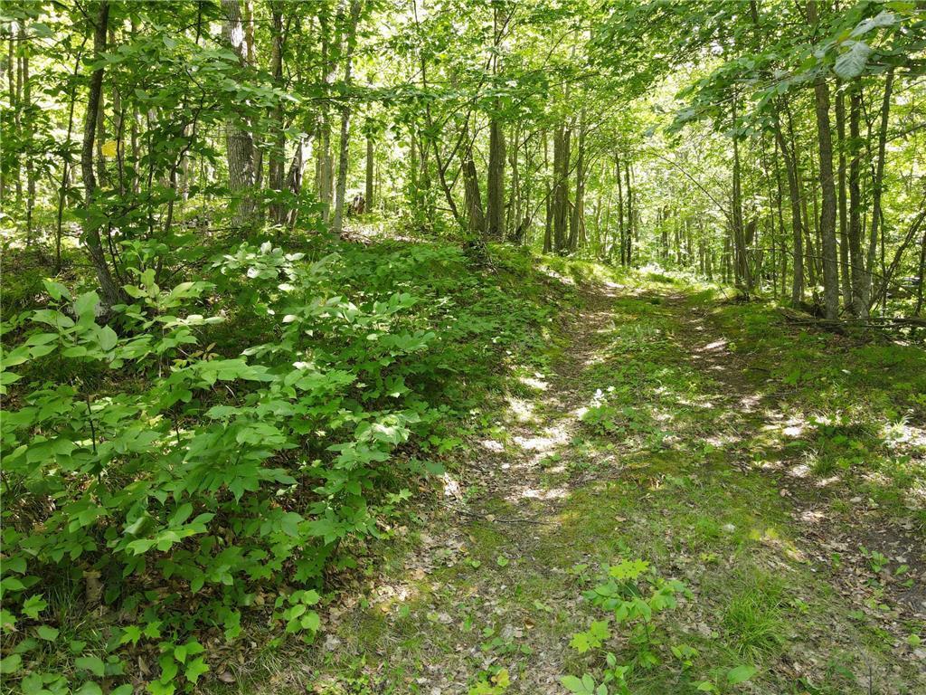 land for sale at TBD IDAS ROAD in Osage, MN (photo 3 of 22)