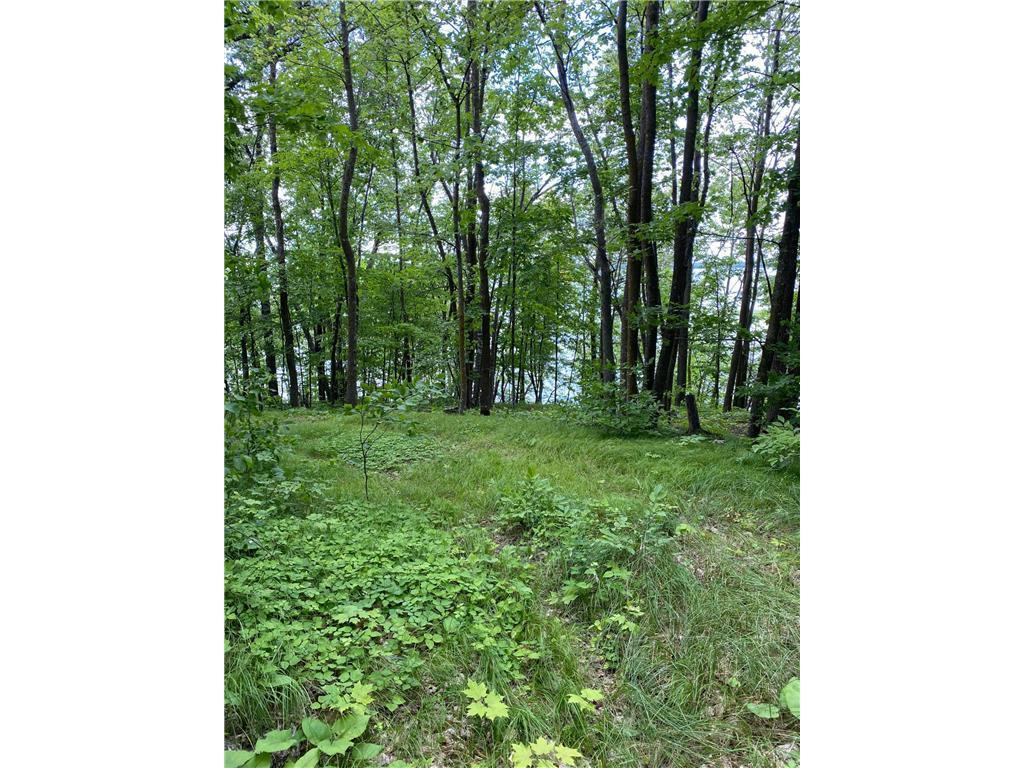 land for sale at TBD IDAS ROAD in Osage, MN (photo 4 of 22)