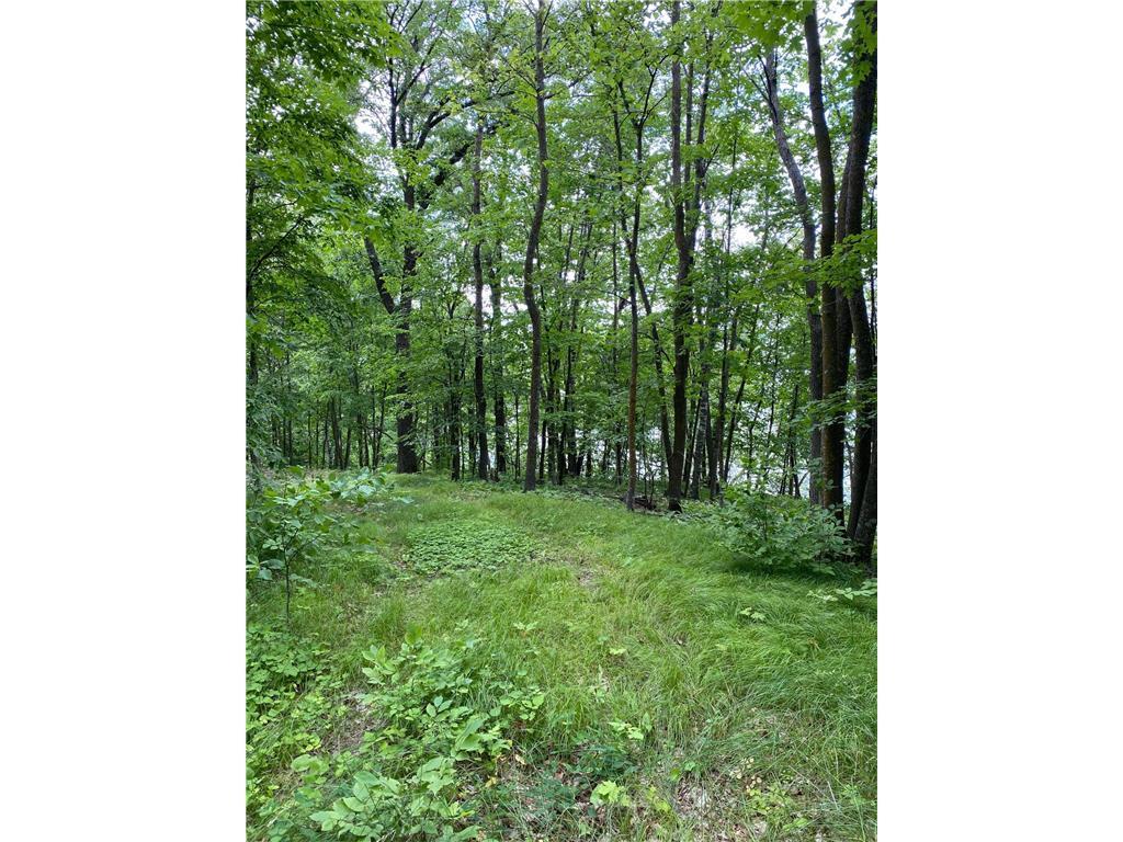 land for sale at TBD IDAS ROAD in Osage, MN (photo 6 of 22)