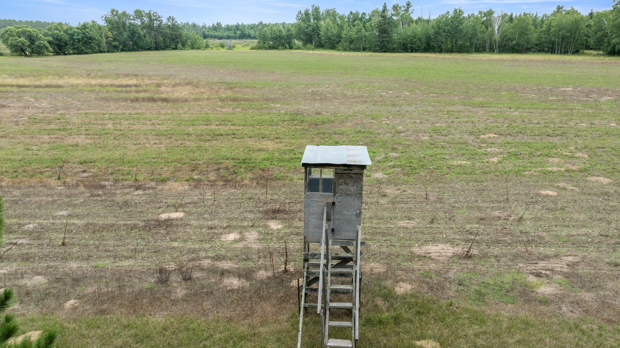land for sale at 16921 320th Street in Menahga, MN (photo 11 of 53)