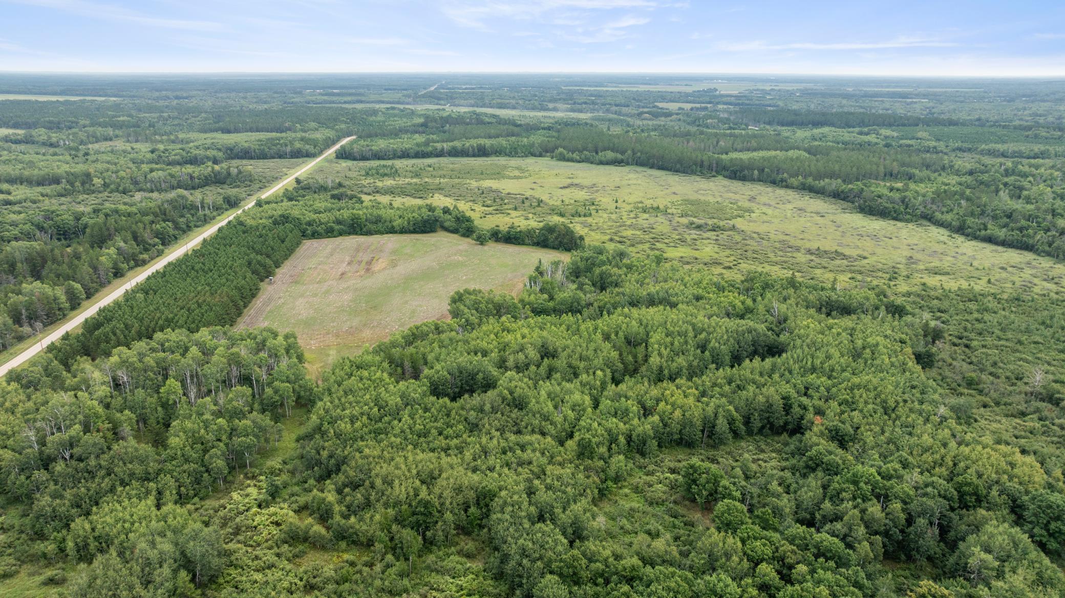 land for sale at 16921 320th Street in Menahga, MN (photo 14 of 53)