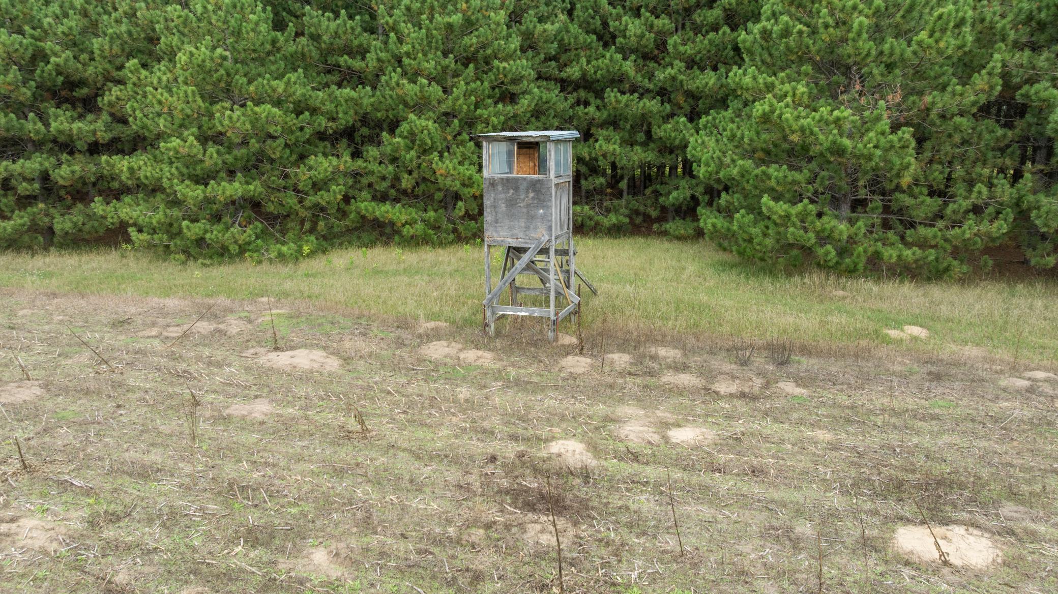 land for sale at 16921 320th Street in Menahga, MN (photo 15 of 53)