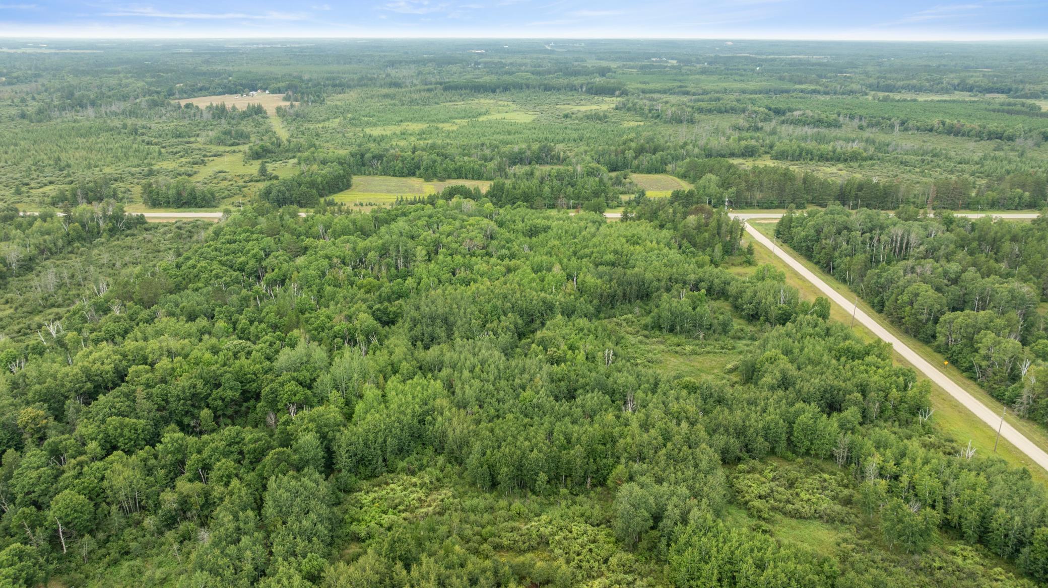 land for sale at 16921 320th Street in Menahga, MN (photo 18 of 53)
