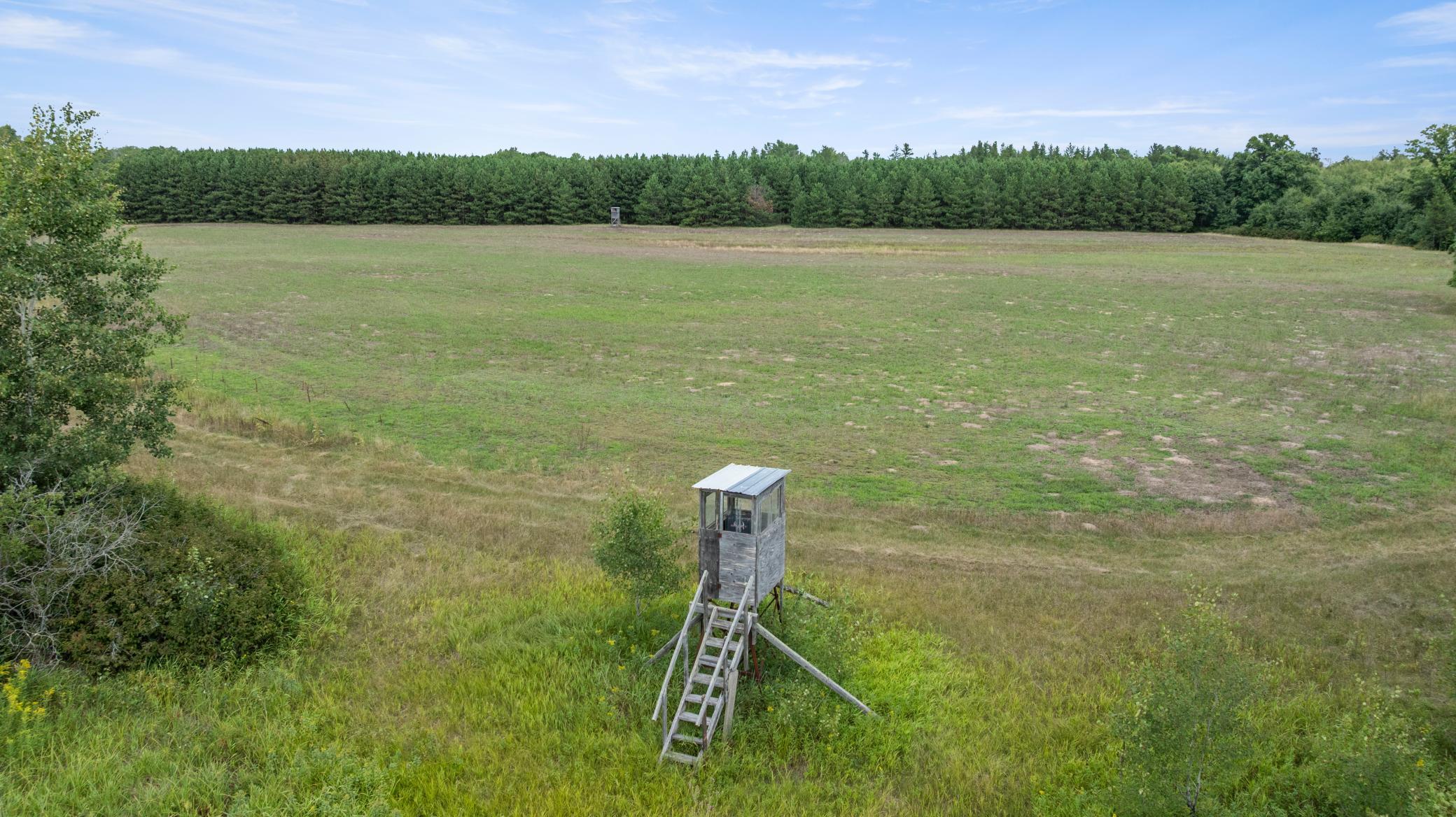 land for sale at 16921 320th Street in Menahga, MN (photo 3 of 53)