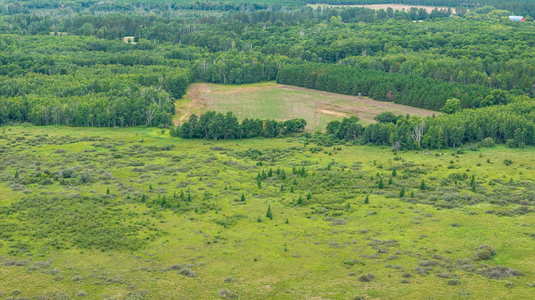 land for sale at 16921 320th Street in Menahga, MN (photo 22 of 53)