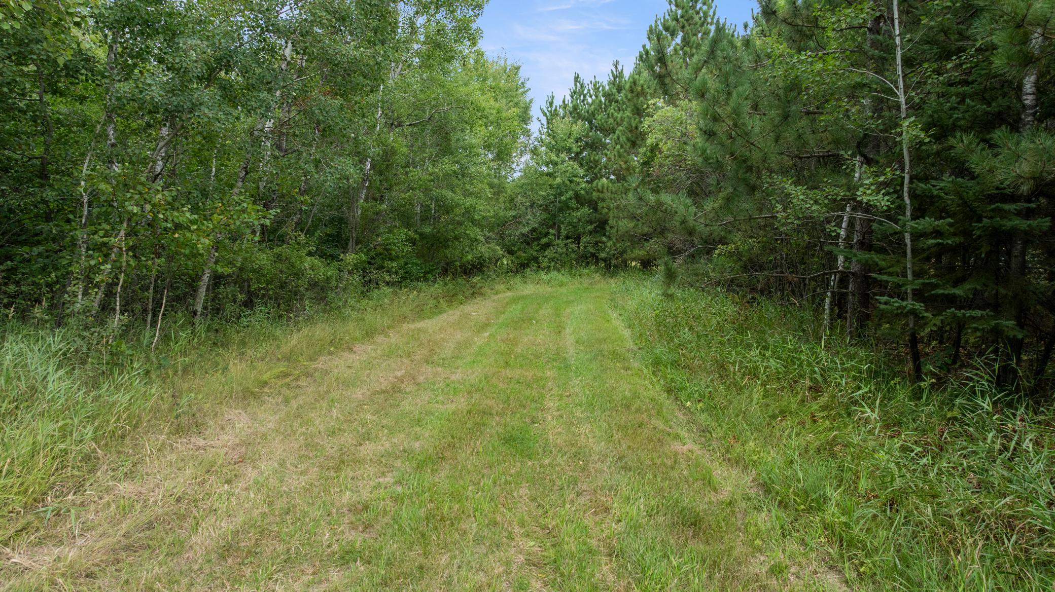 land for sale at 16921 320th Street in Menahga, MN (photo 23 of 53)