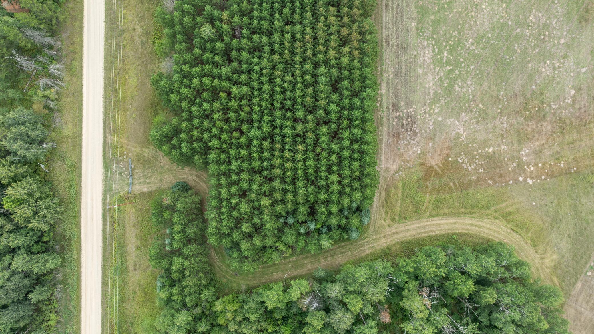 land for sale at 16921 320th Street in Menahga, MN (photo 24 of 53)