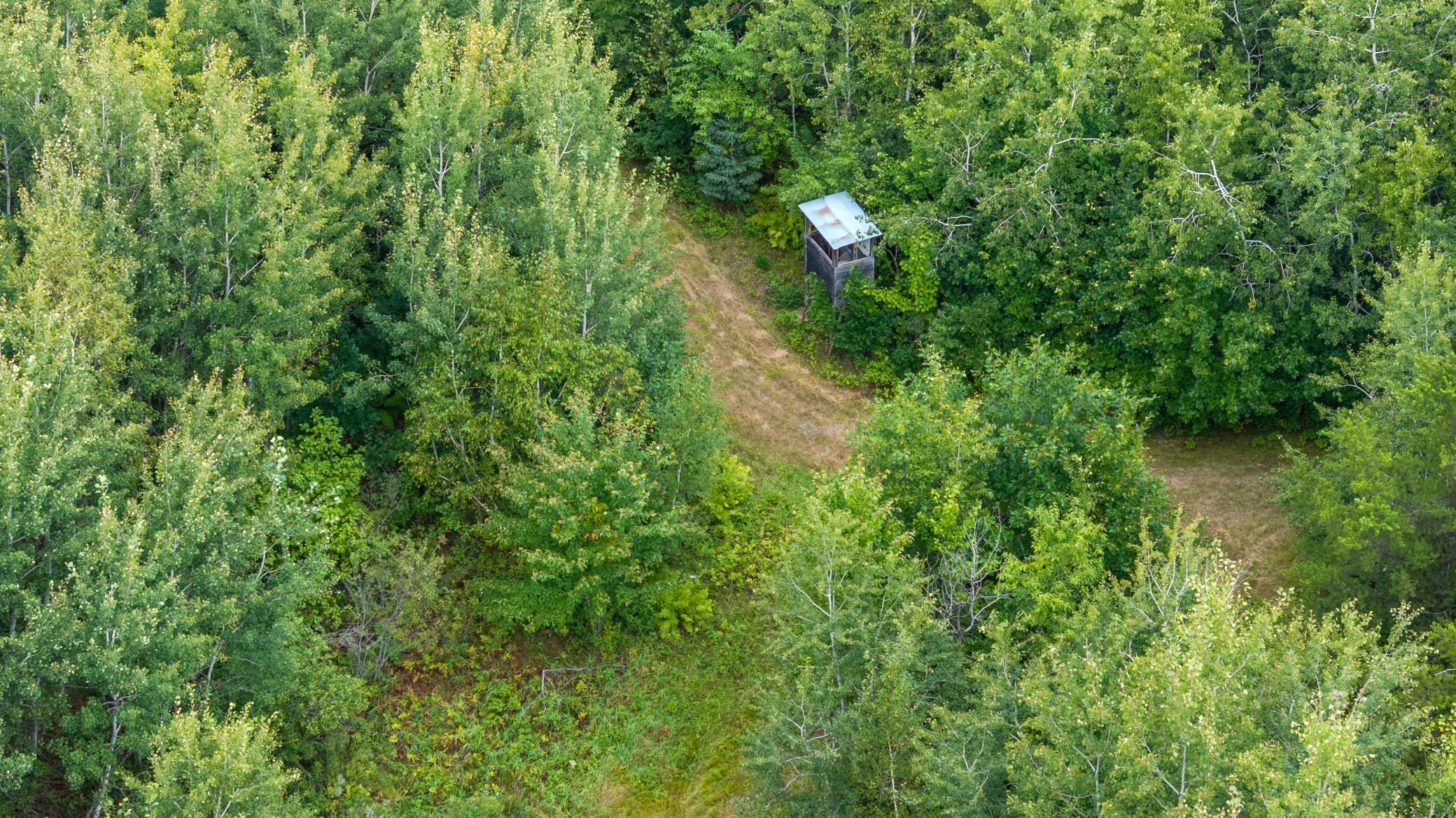 land for sale at 16921 320th Street in Menahga, MN (photo 26 of 53)