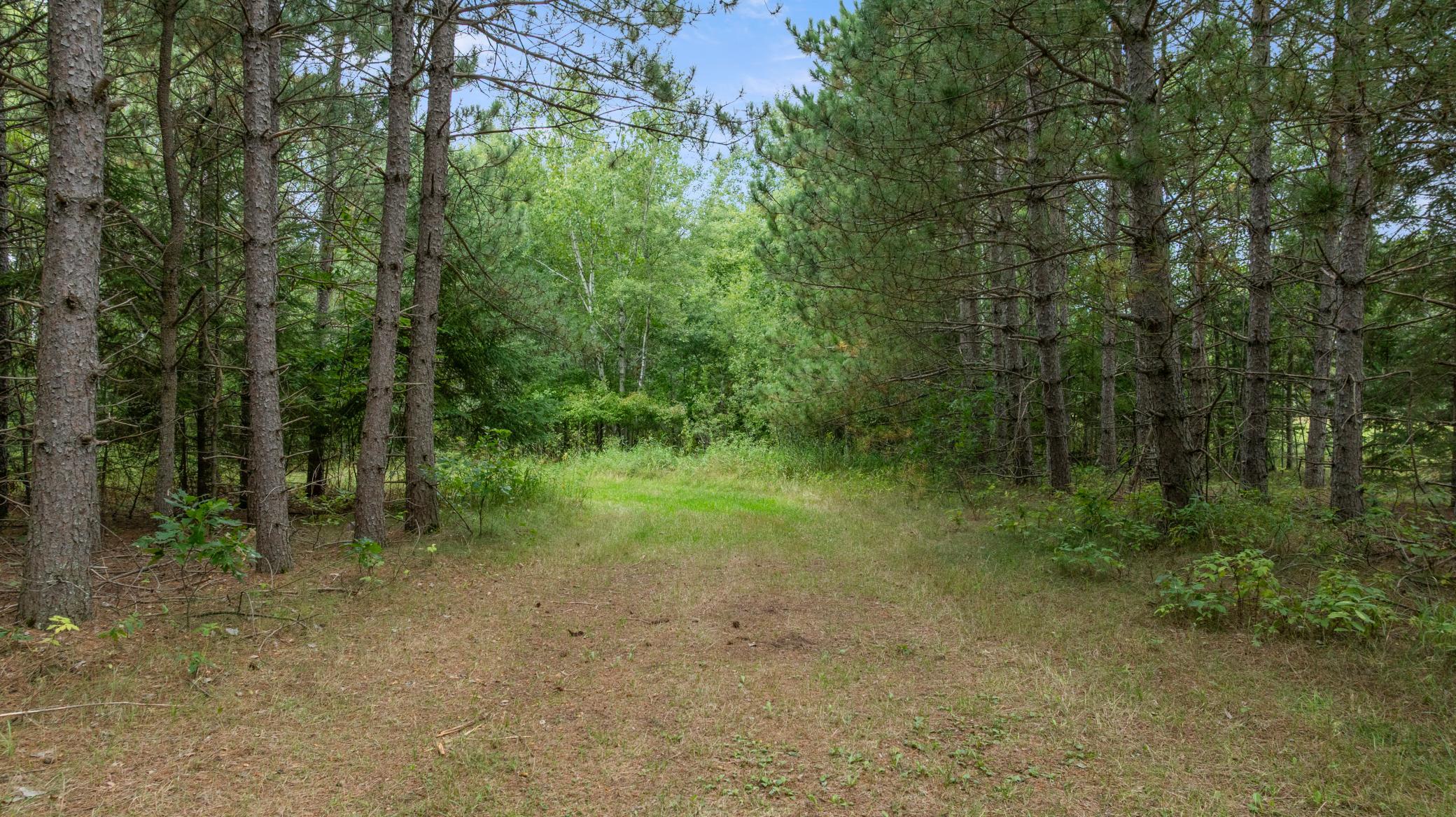 land for sale at 16921 320th Street in Menahga, MN (photo 27 of 53)