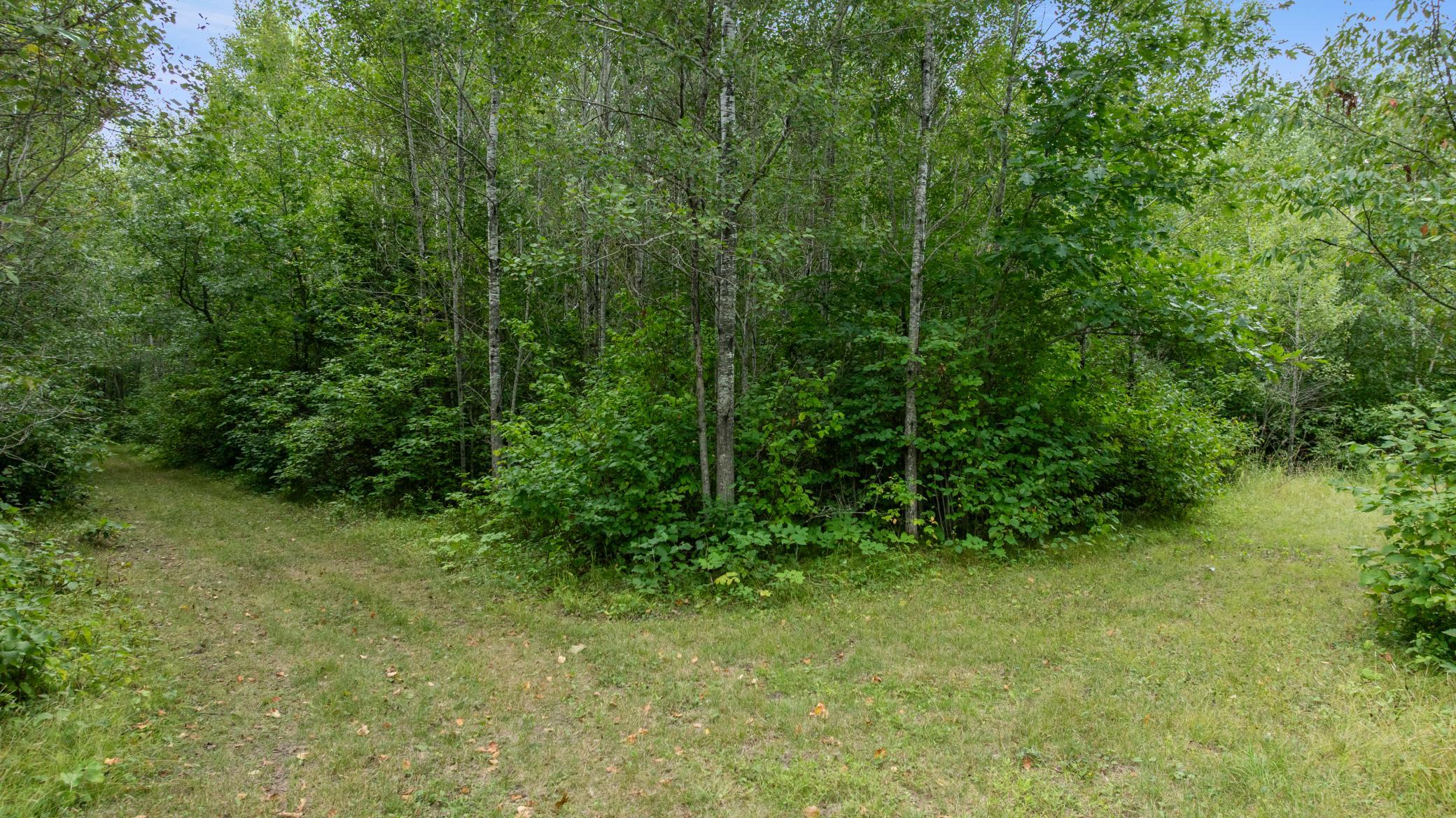 land for sale at 16921 320th Street in Menahga, MN (photo 30 of 53)
