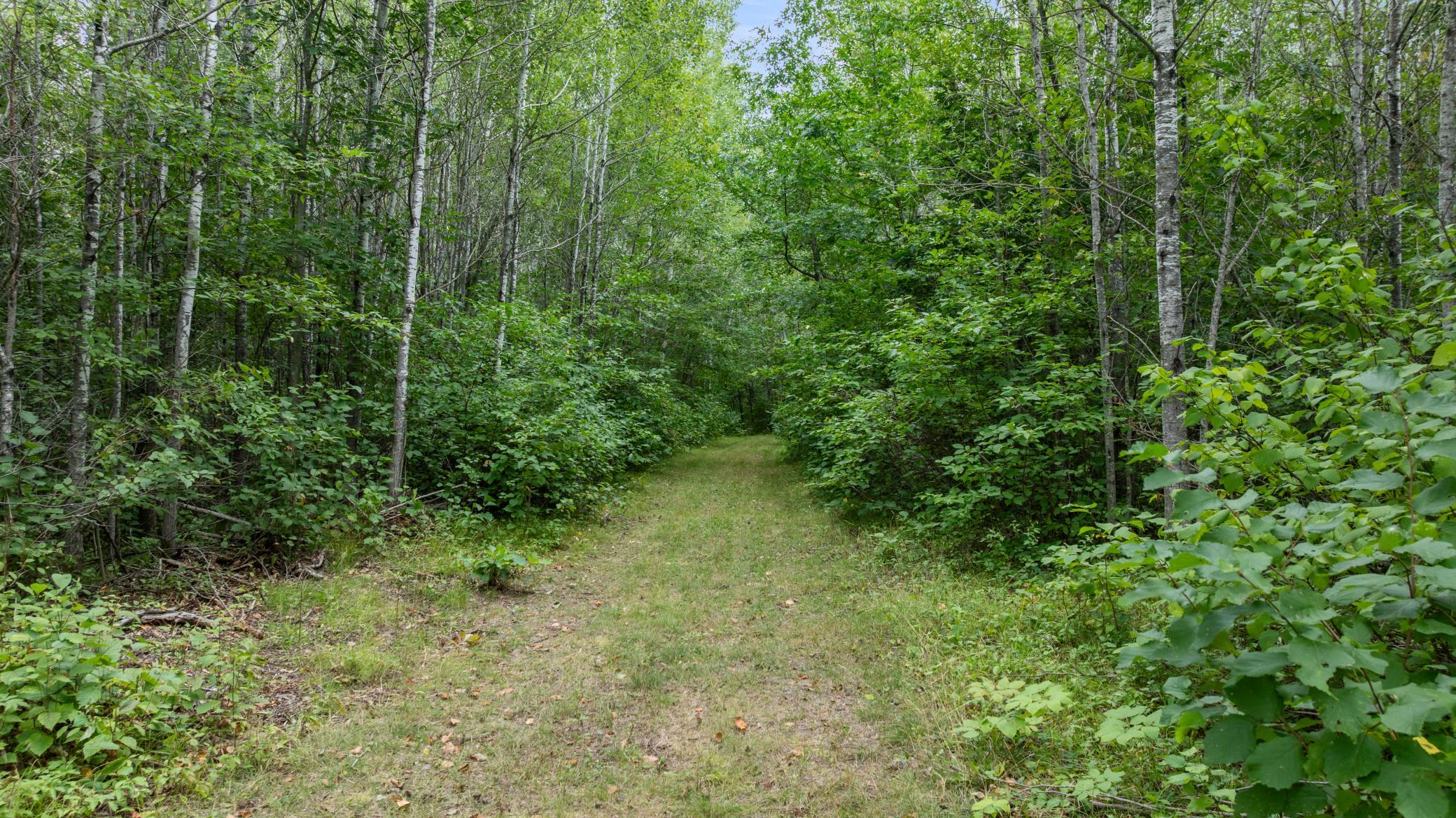 land for sale at 16921 320th Street in Menahga, MN (photo 31 of 53)
