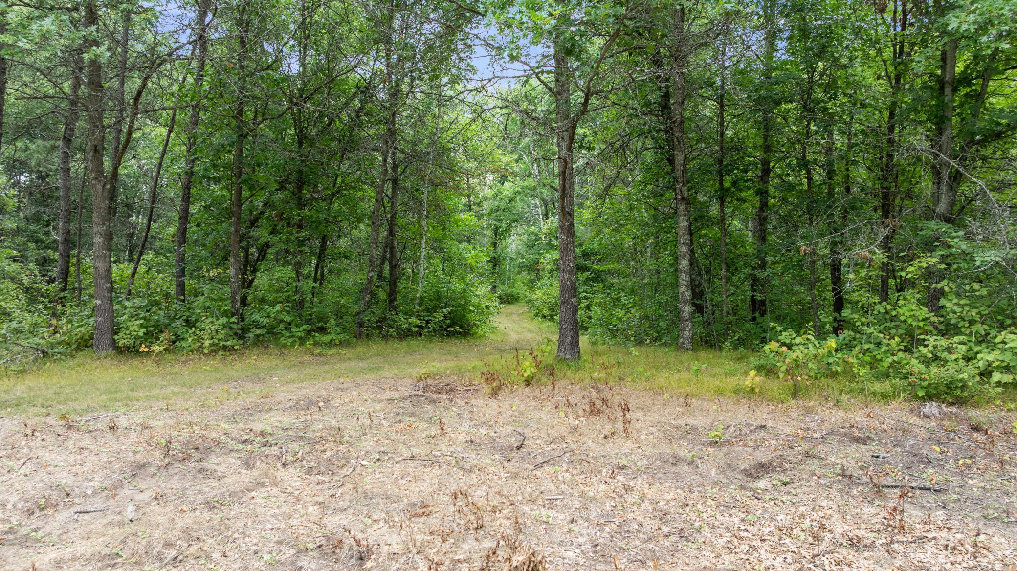 land for sale at 16921 320th Street in Menahga, MN (photo 35 of 53)