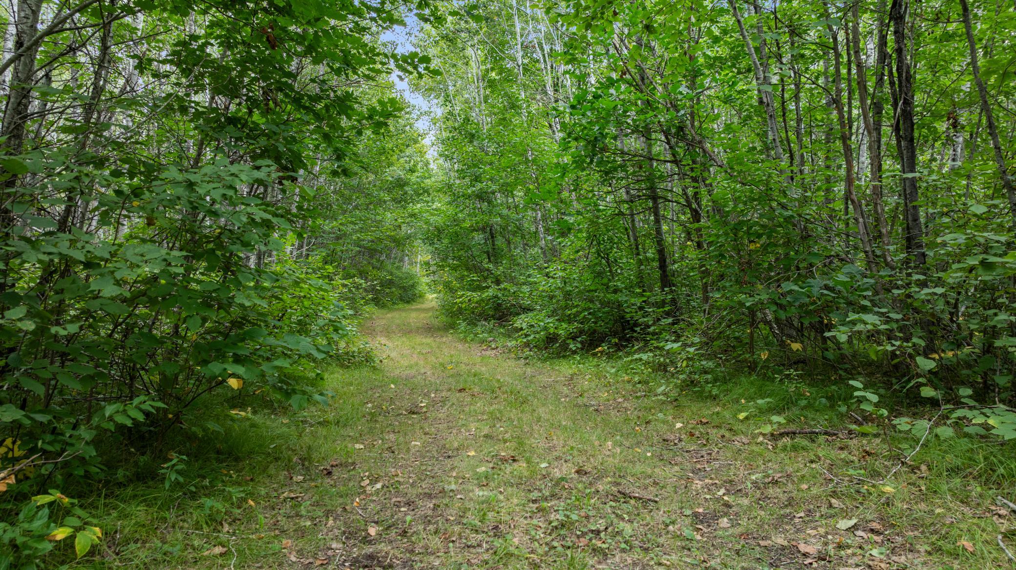 land for sale at 16921 320th Street in Menahga, MN (photo 36 of 53)