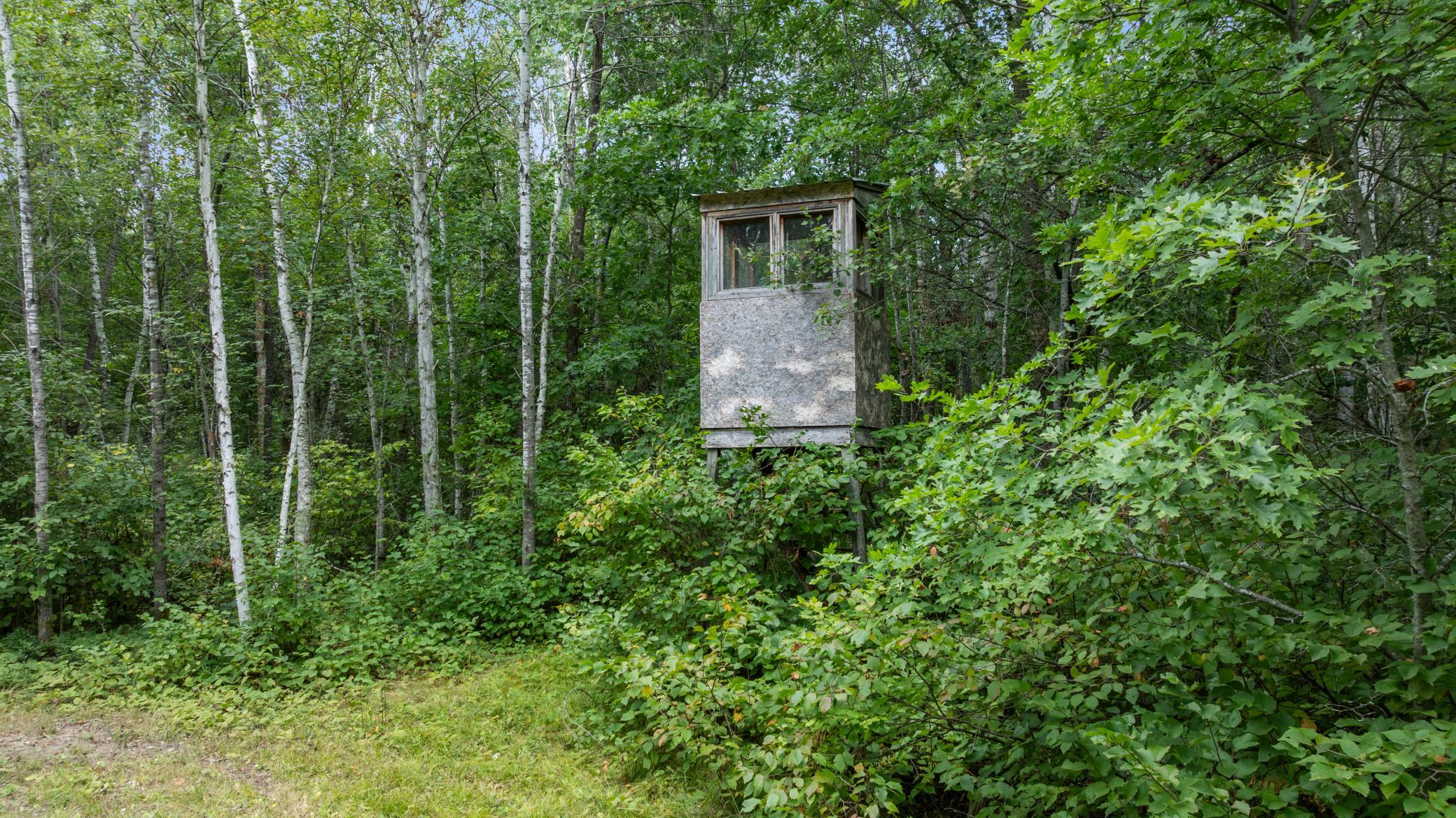 land for sale at 16921 320th Street in Menahga, MN (photo 38 of 53)