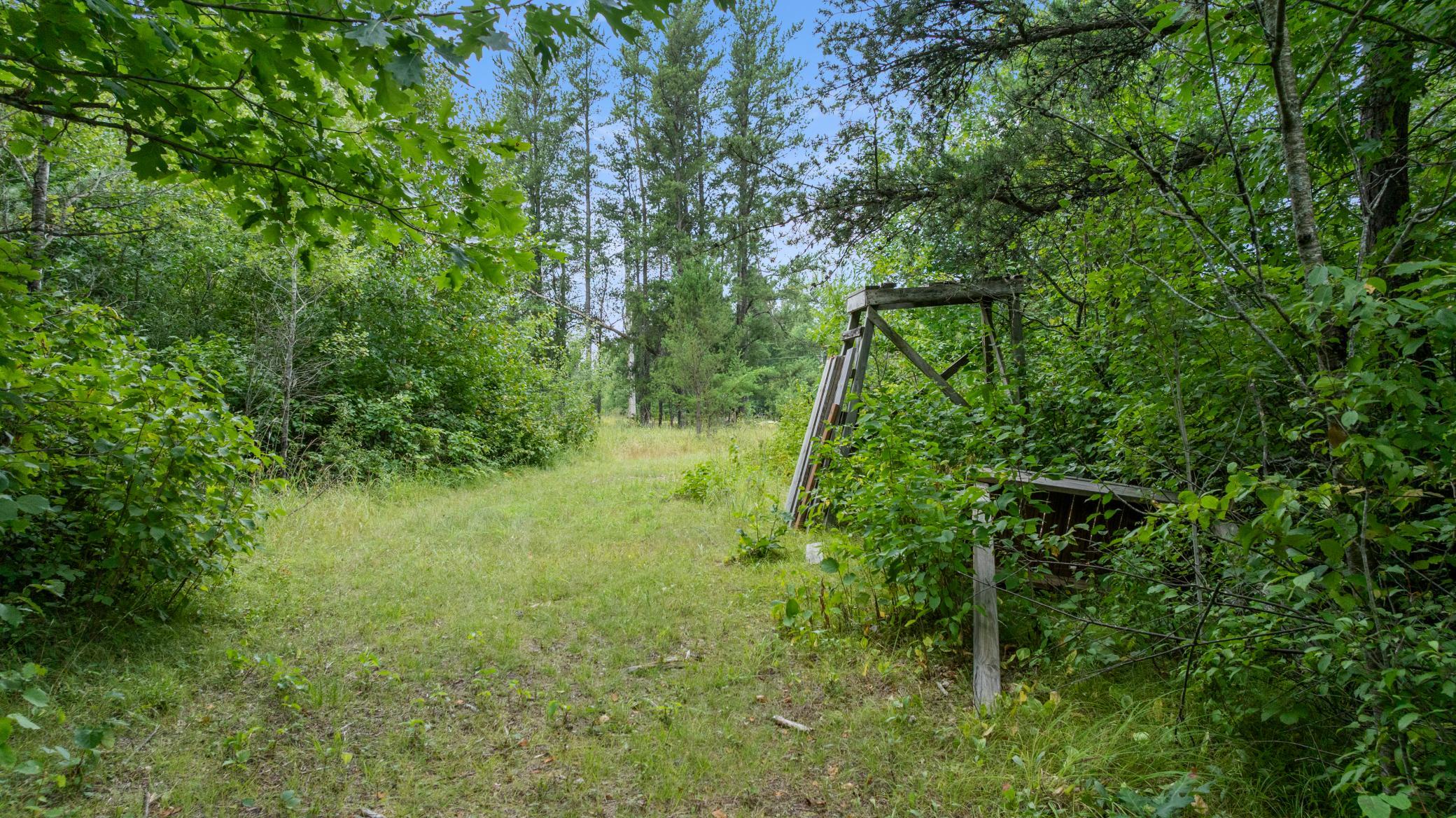 land for sale at 16921 320th Street in Menahga, MN (photo 39 of 53)