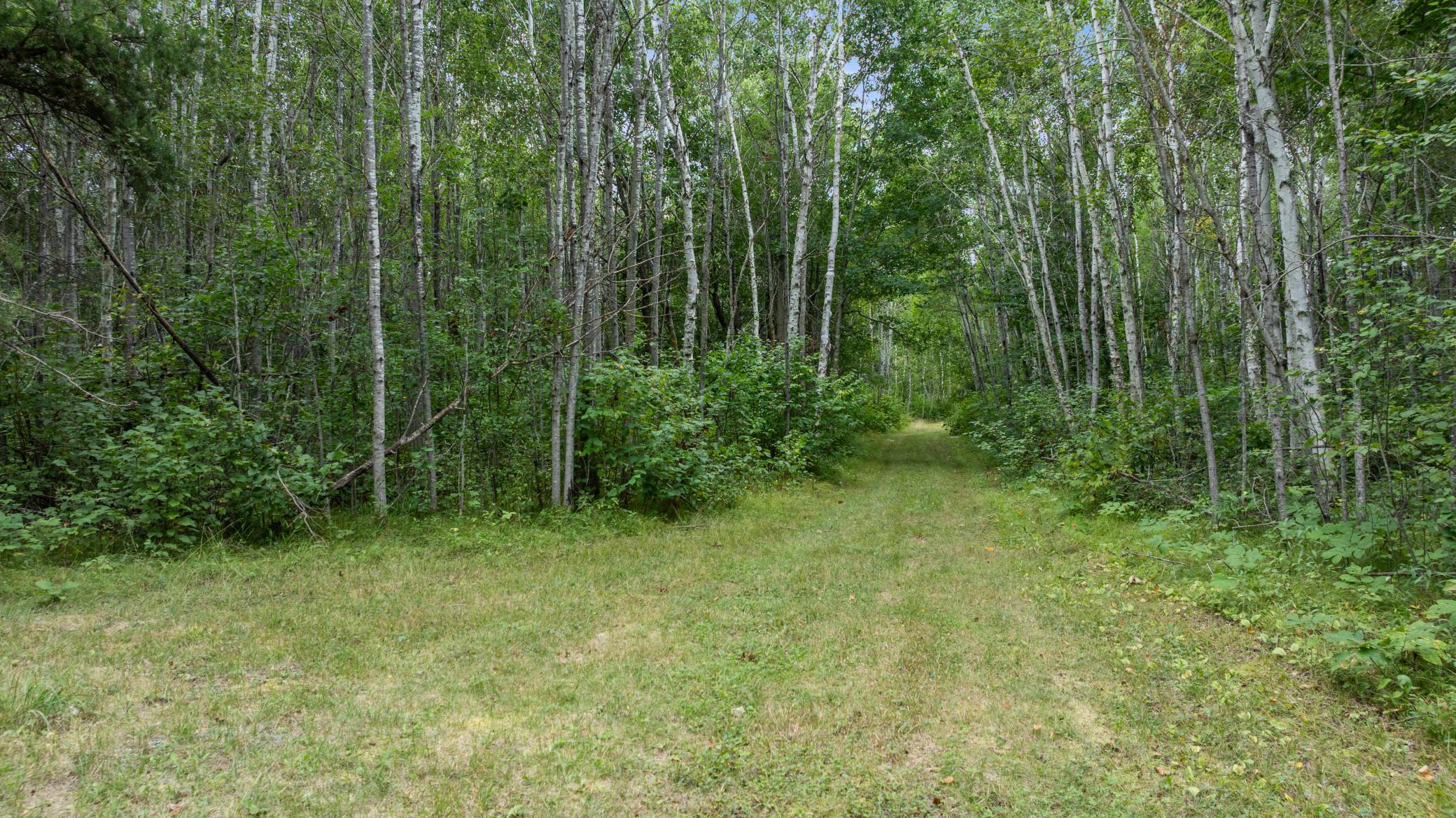 land for sale at 16921 320th Street in Menahga, MN (photo 40 of 53)