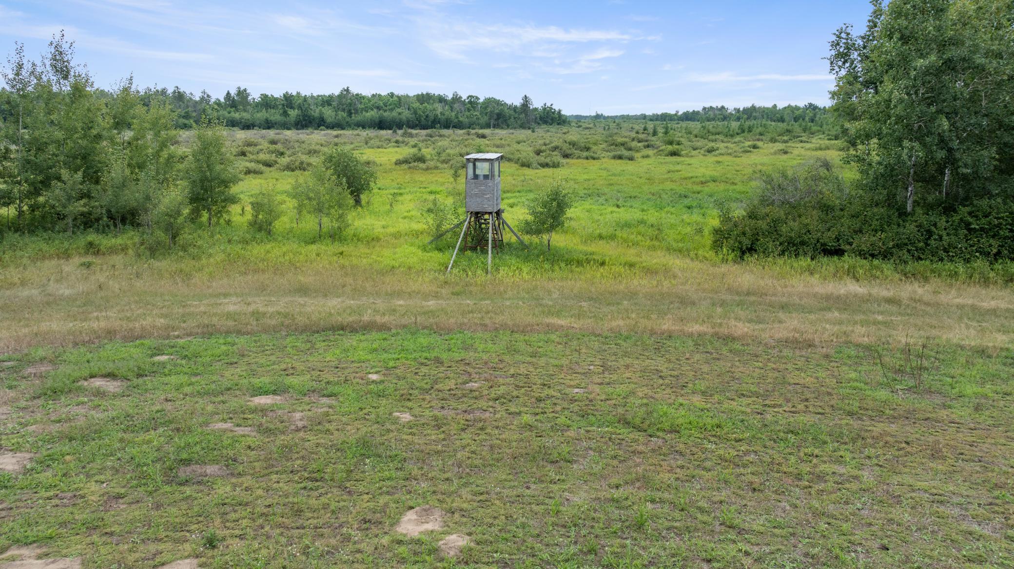 land for sale at 16921 320th Street in Menahga, MN (photo 5 of 53)
